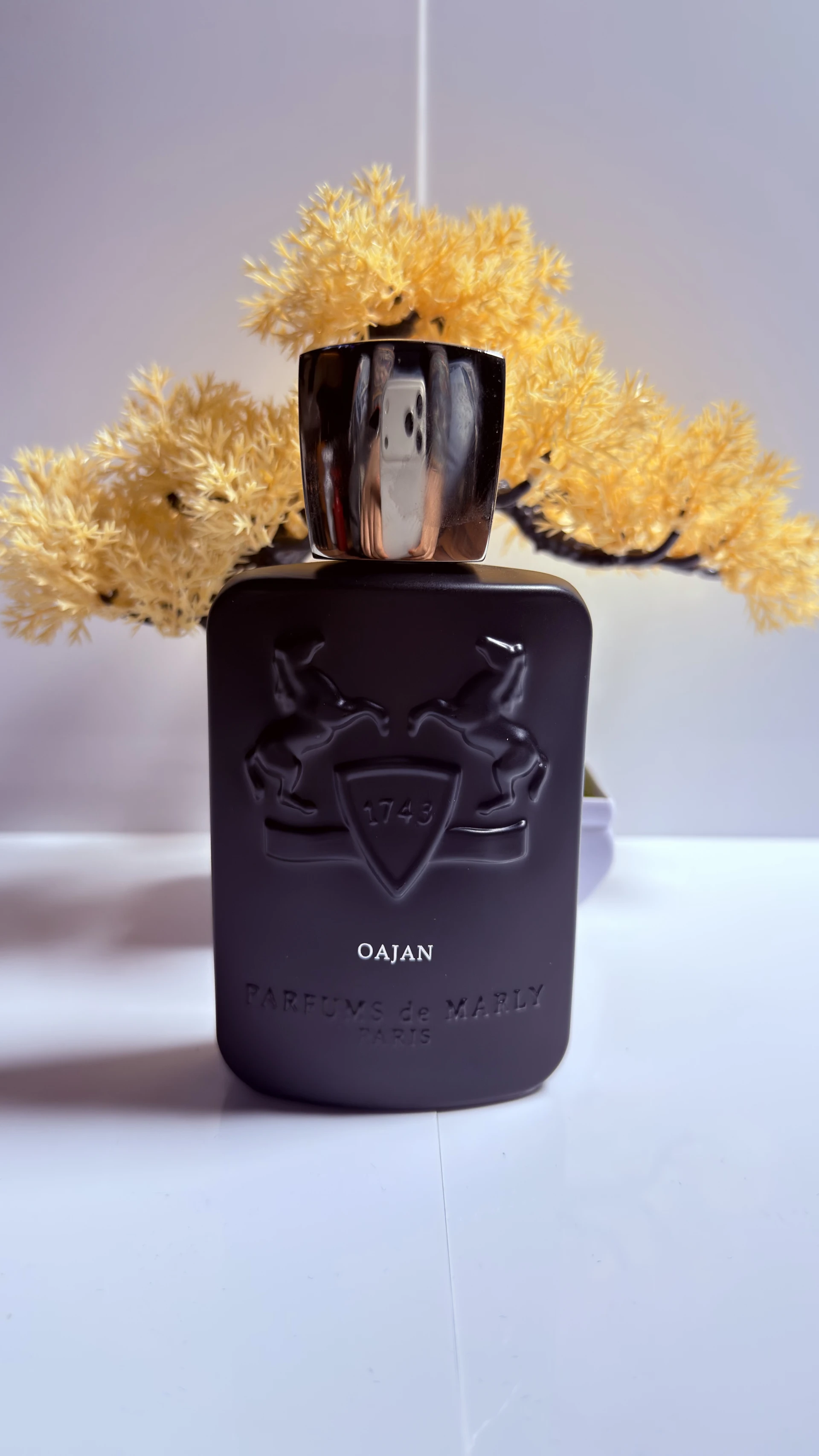 Parfums De Marley Oajan