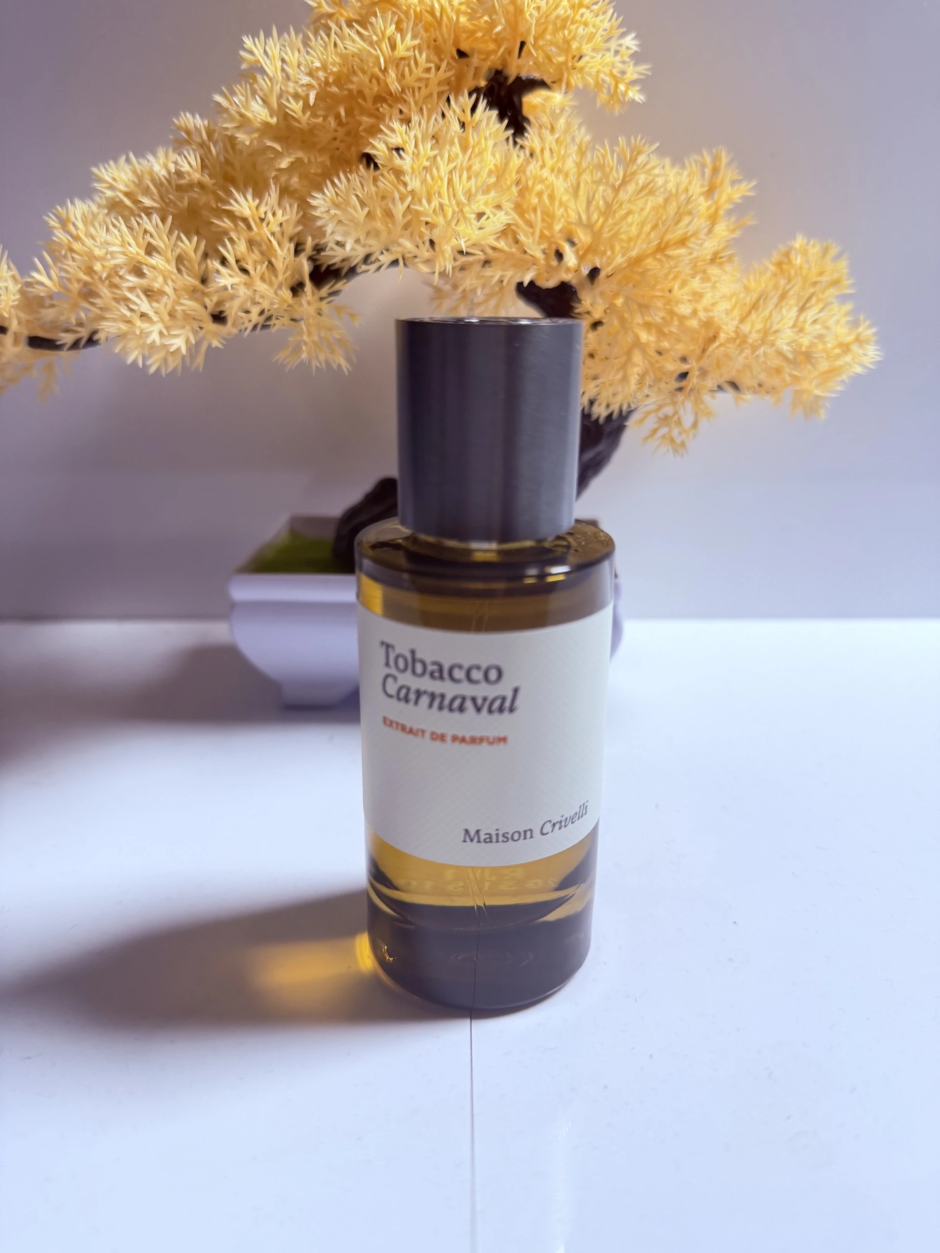 Maison Crivelli Tobacco Carnaval