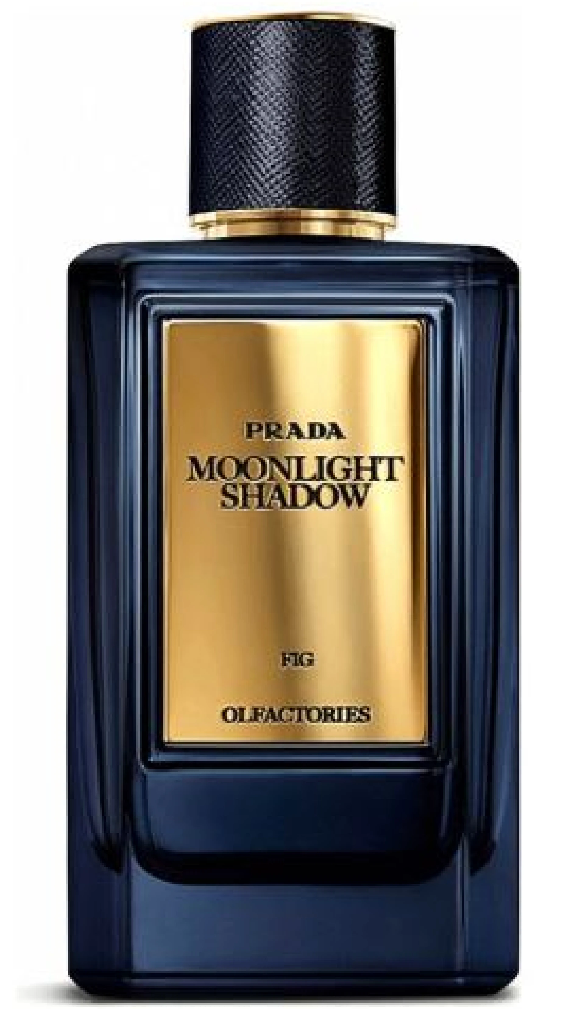 Prada Mirages Moonlight Shadow EDP