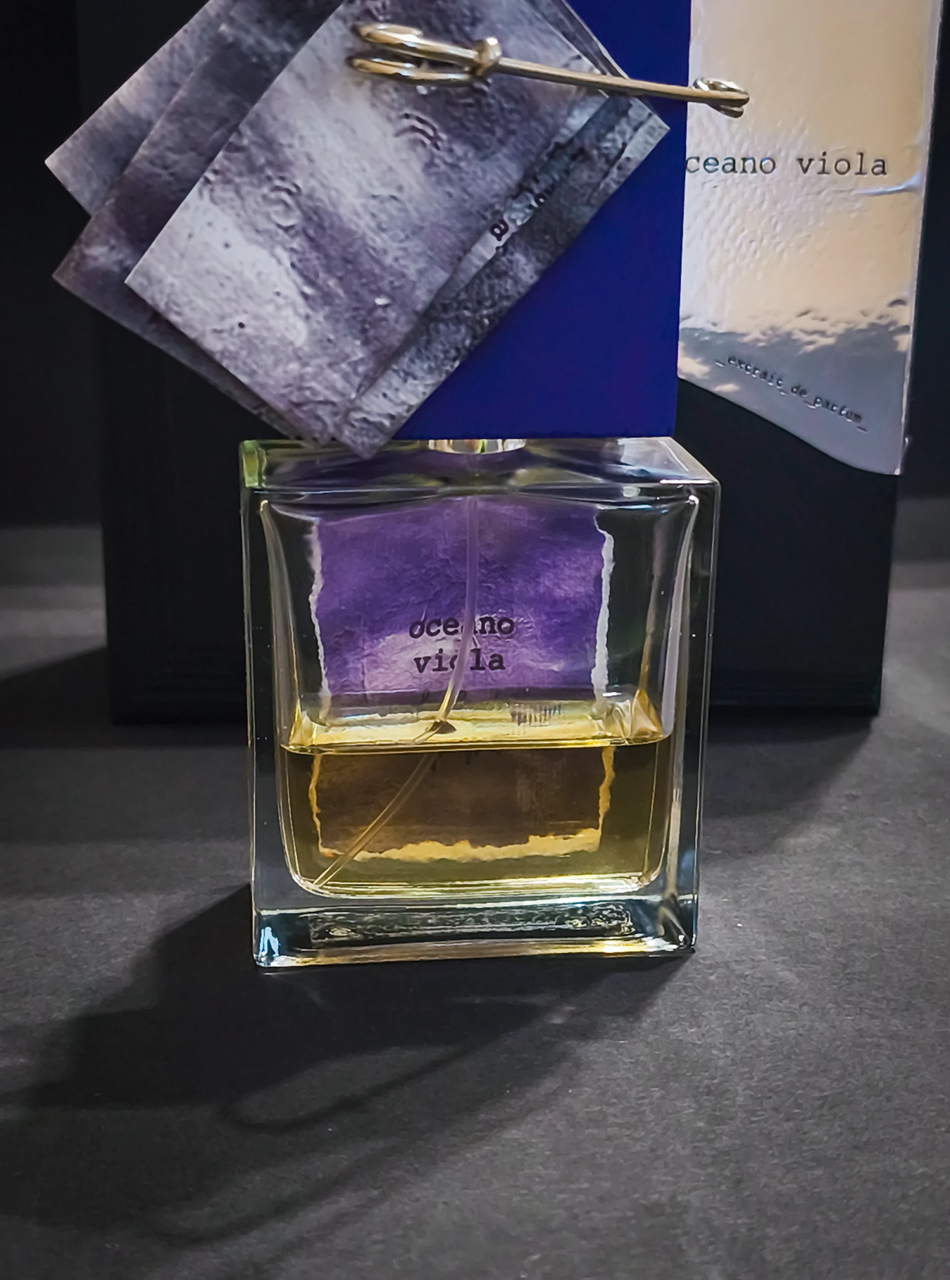 Filippo Sorcinelli Oceano Viola
