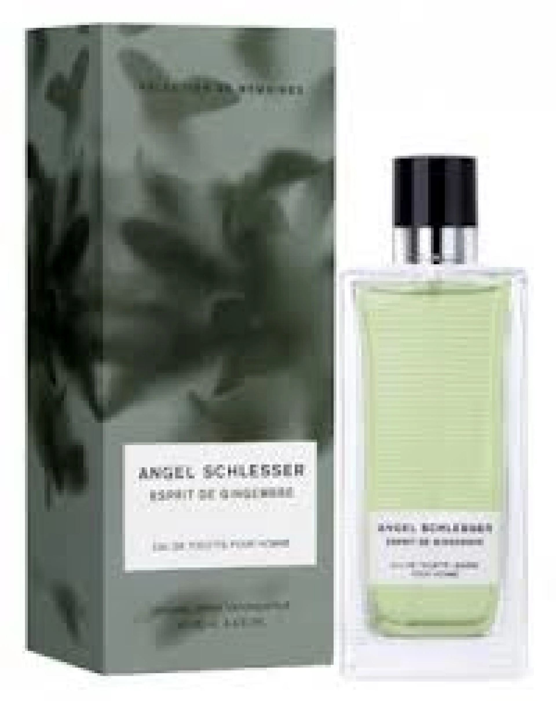 Angel Schlesser Esprit De Gingembre Pour Homme