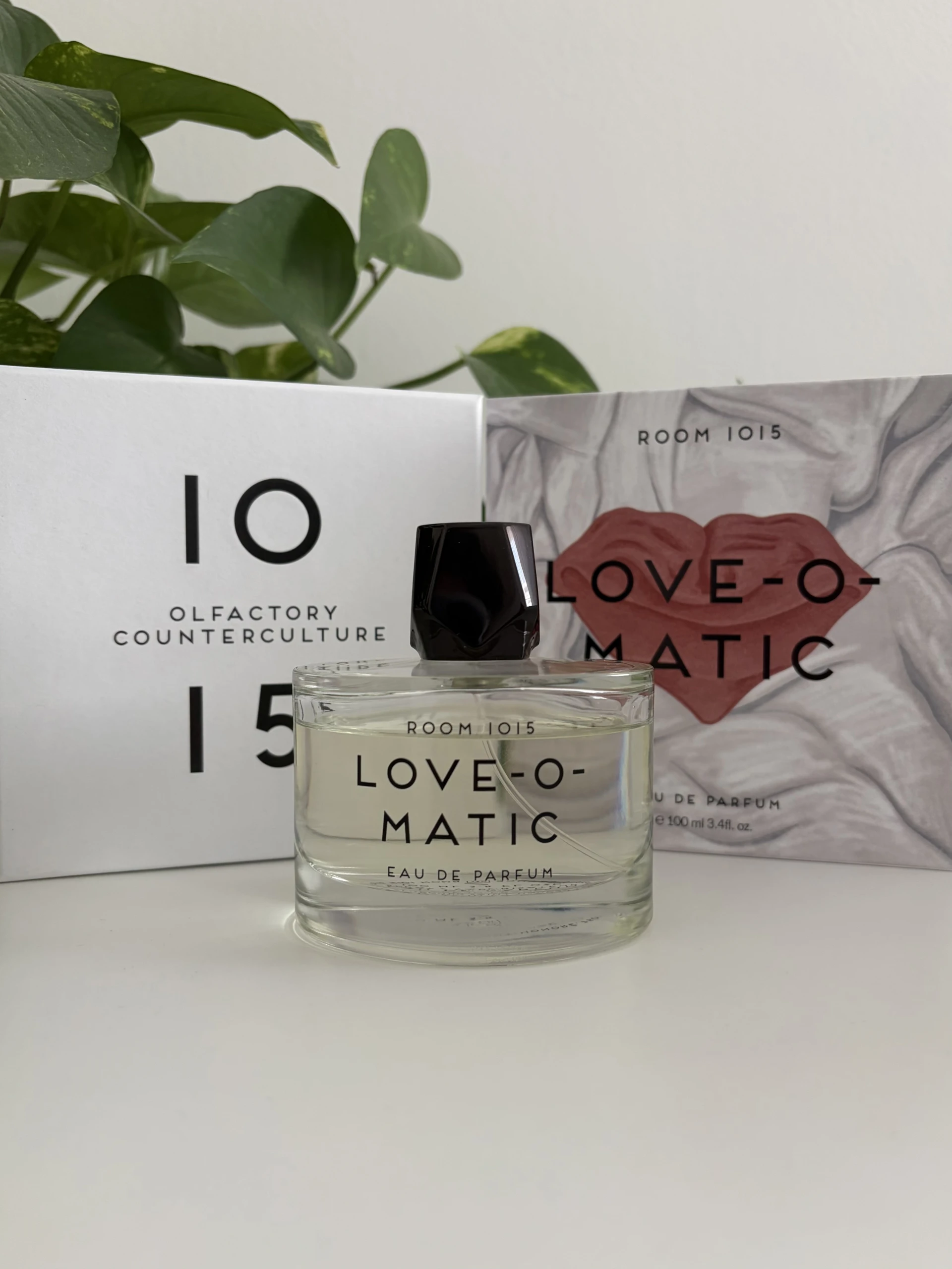 ROOM 1015 - Love-O-Matic