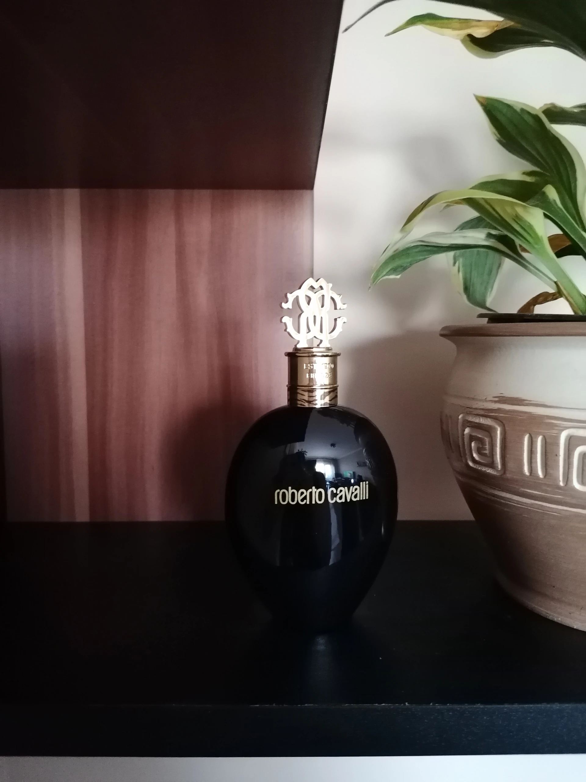 🧪Cavalli - Nero Assoluto
