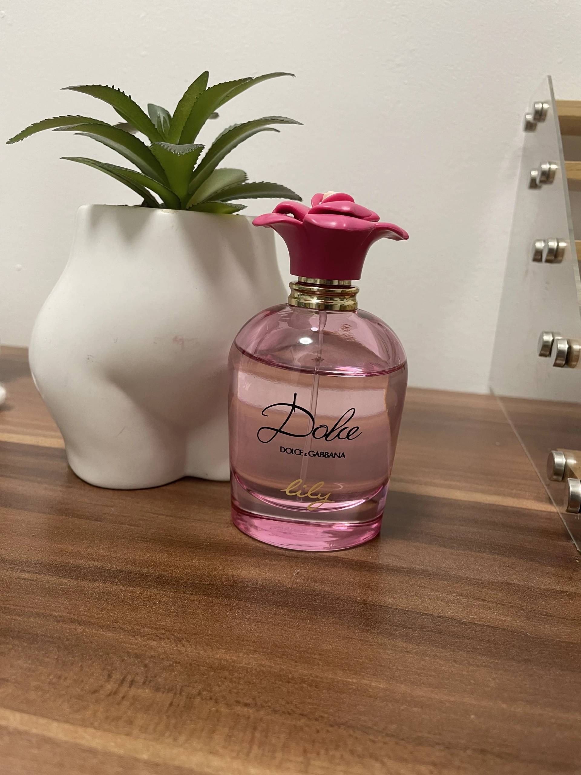 Dolce & Gabbana Dolce Lily