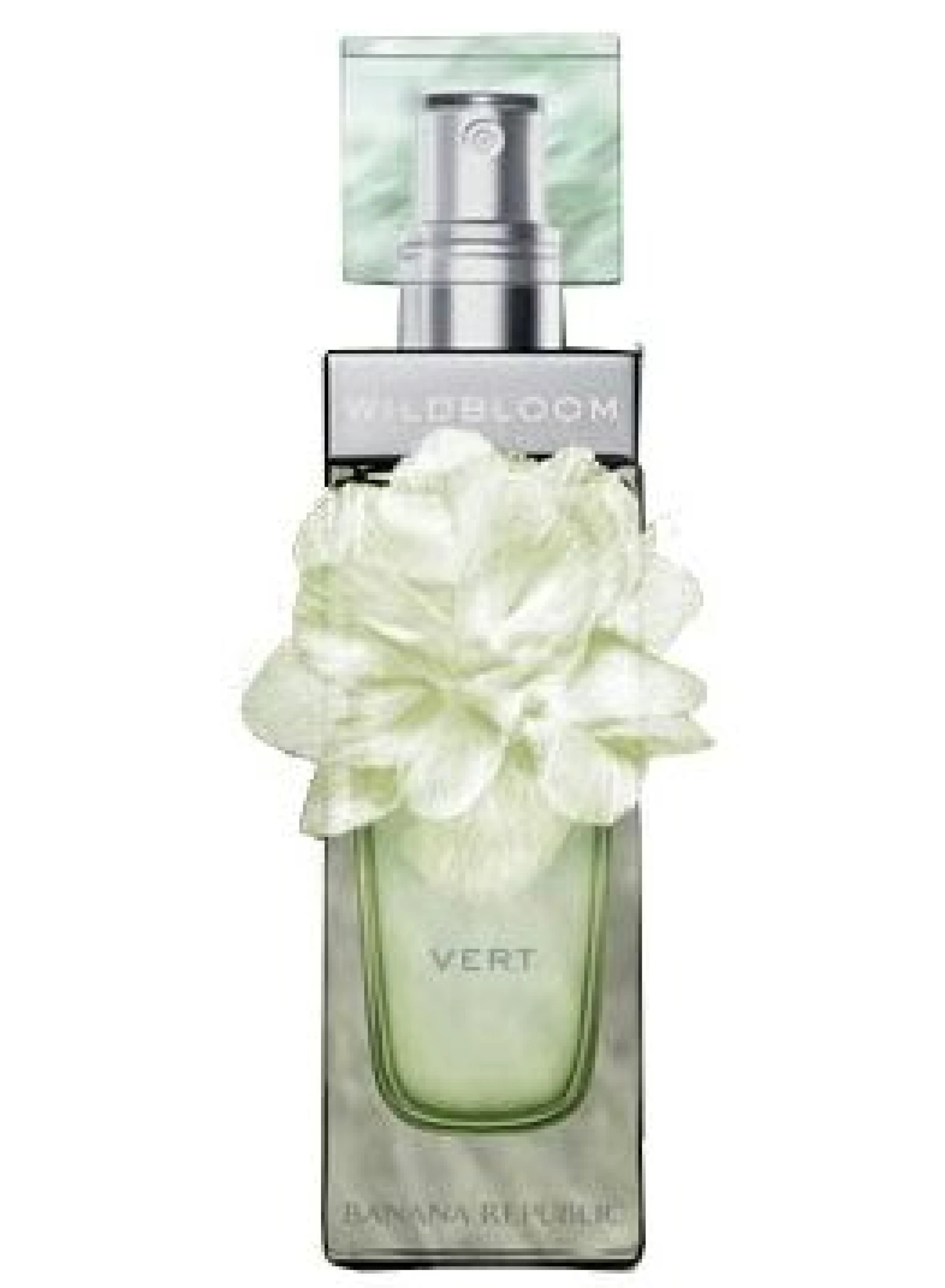 Banana Republic Wildbloom Vert