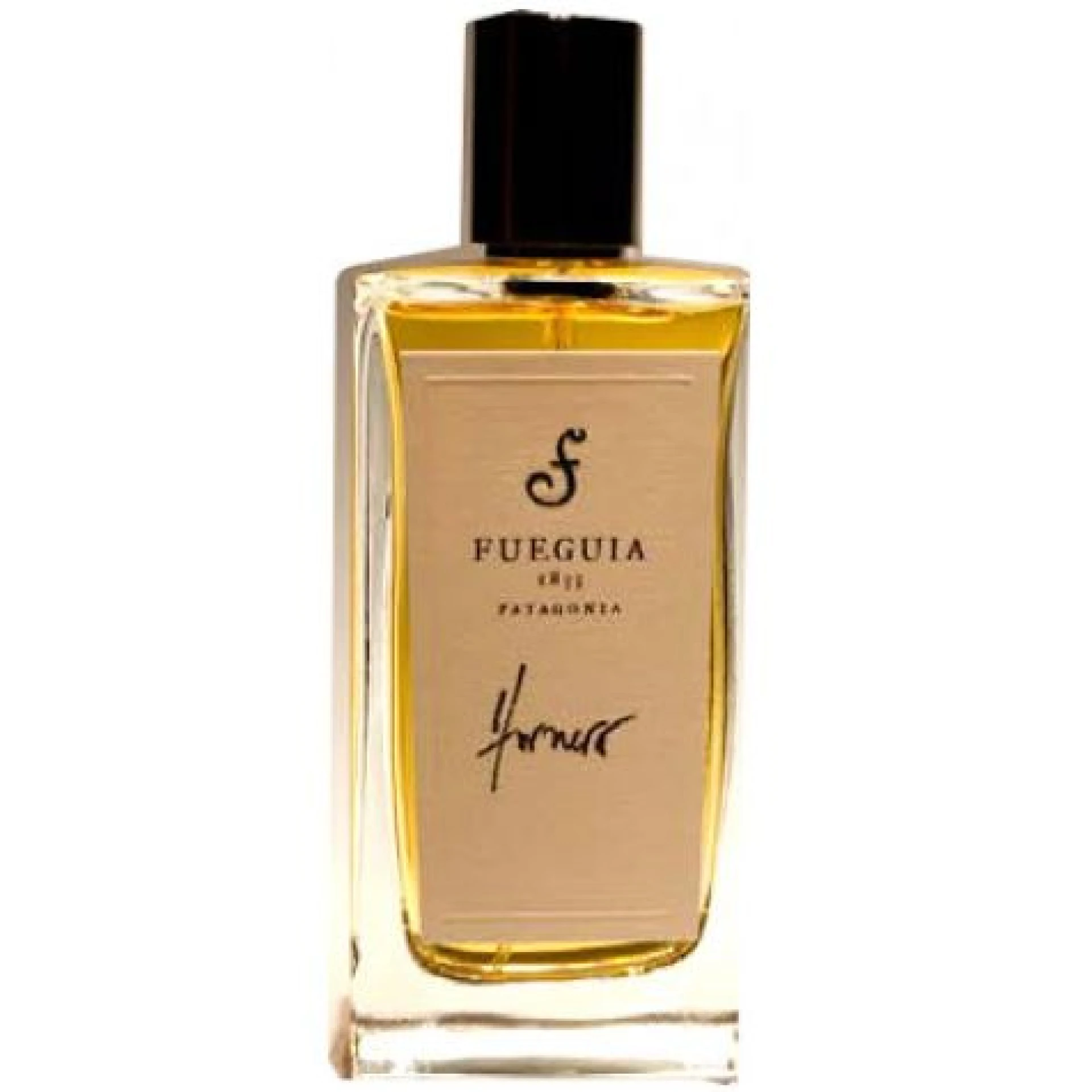 Fueguia 1833 Hornero