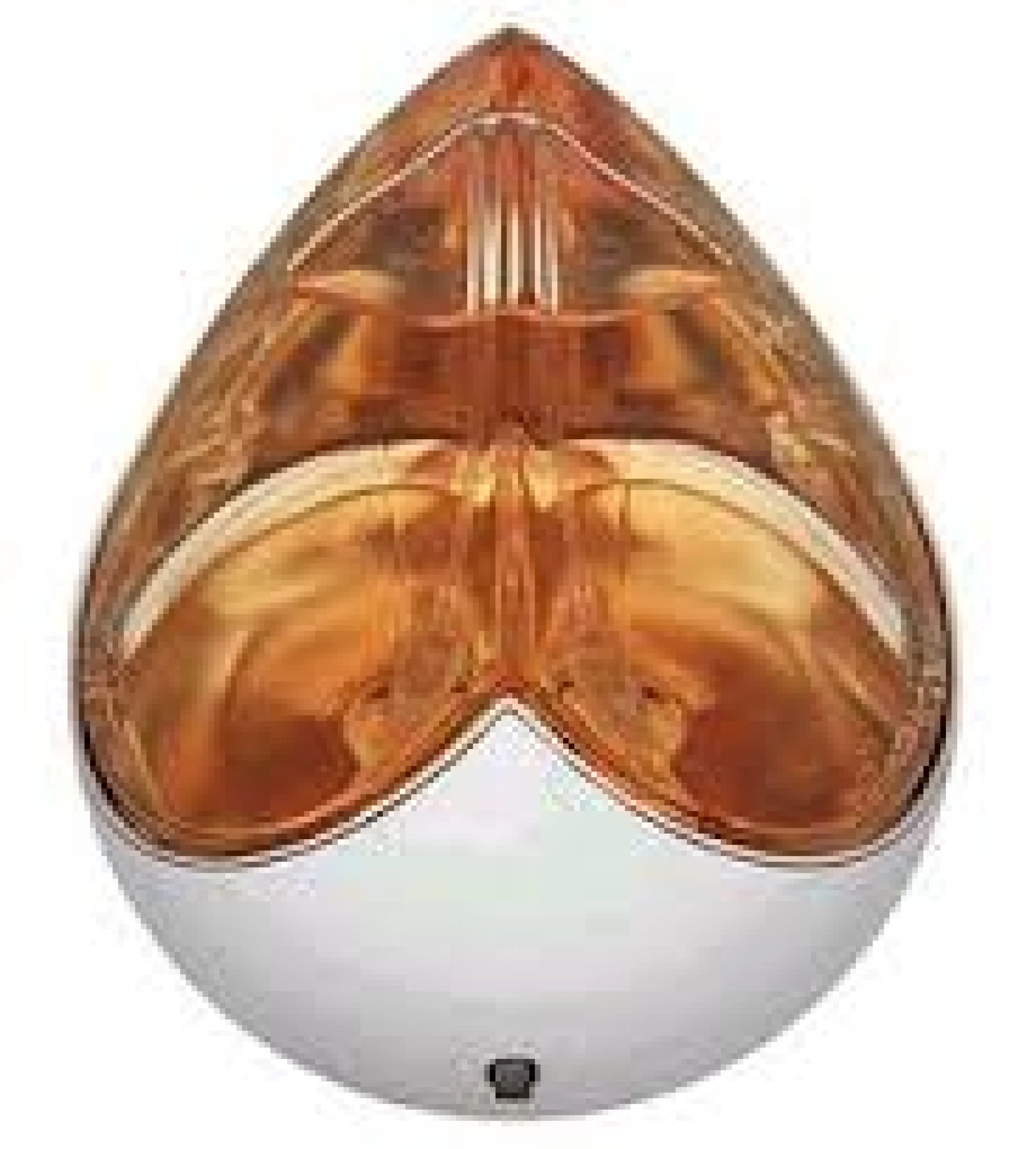 Alexander Mcqueen Kingdom Limited Edition 2005