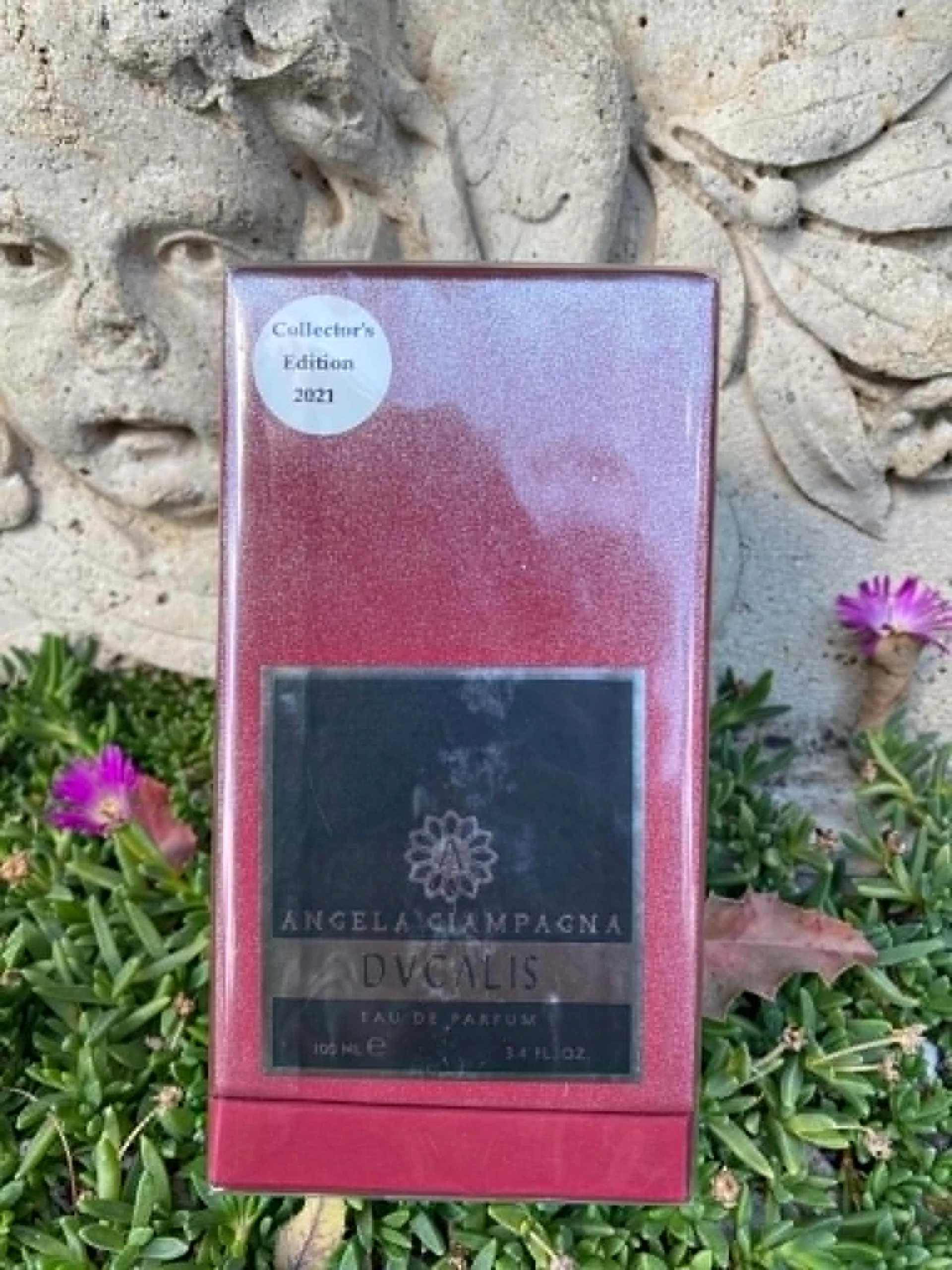 Angela Ciampagna Ducalis