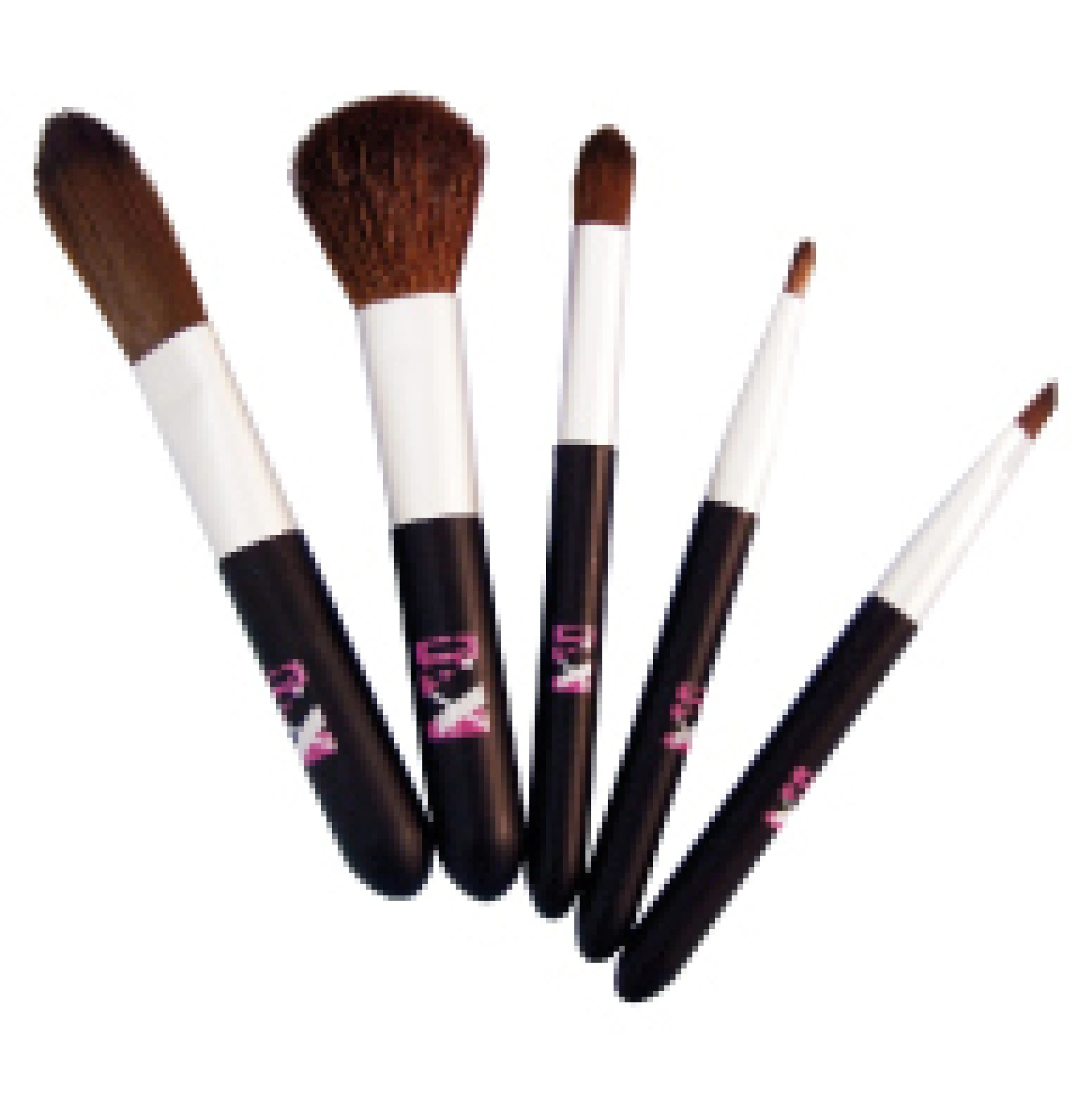 Sleek 5 Darabos Ecsetkészlet