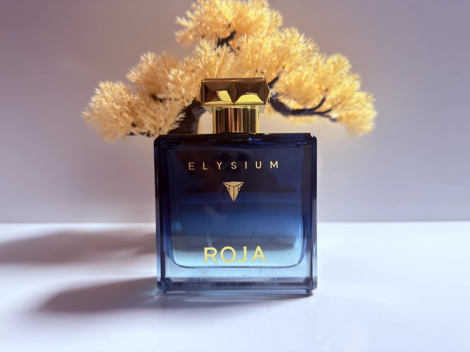 Roja Elysium EDP