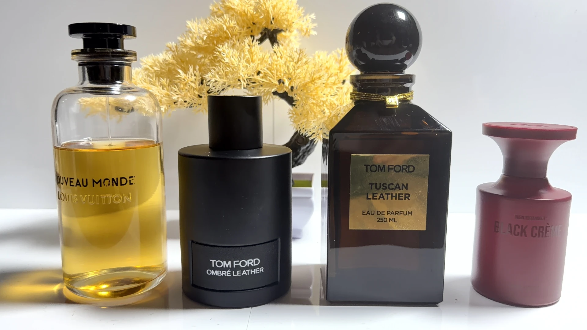 Tom Ford Ombre Leather