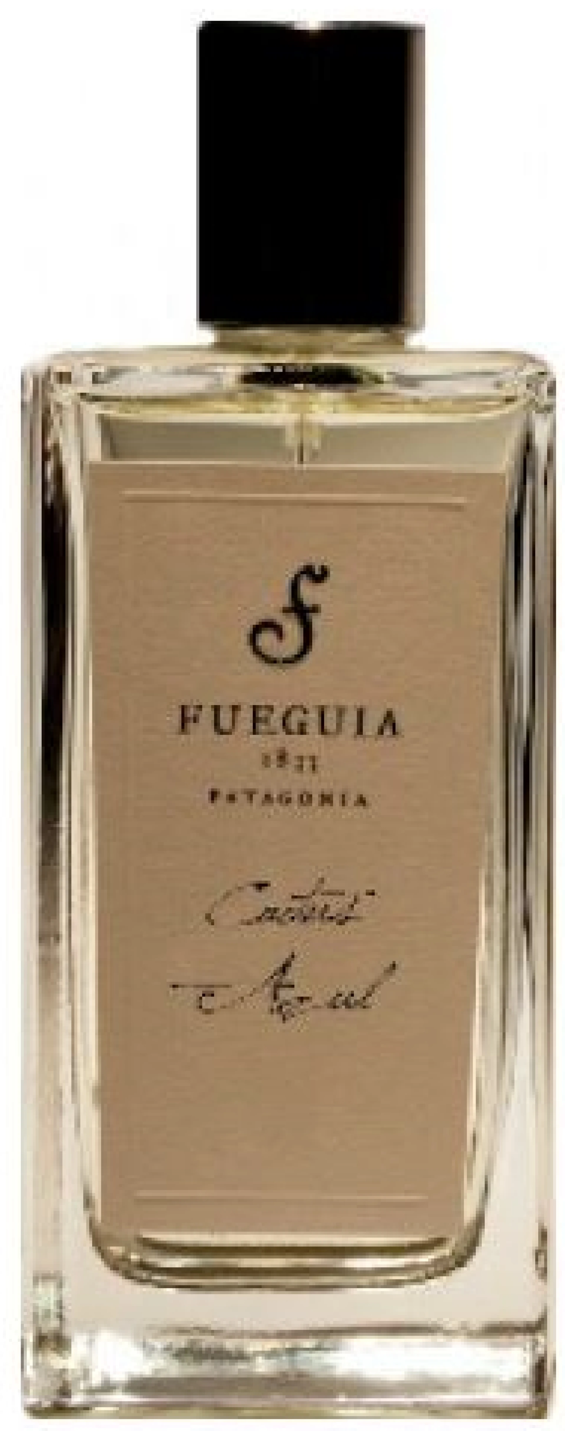 Fueguia 1833 Cactus Azul