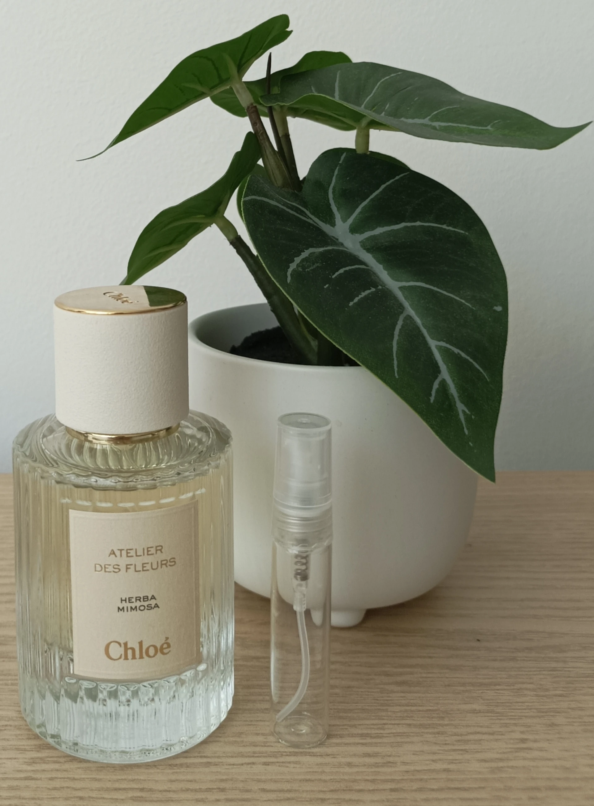 Chloé Atelier des Fleurs Herba Mimosa EDP