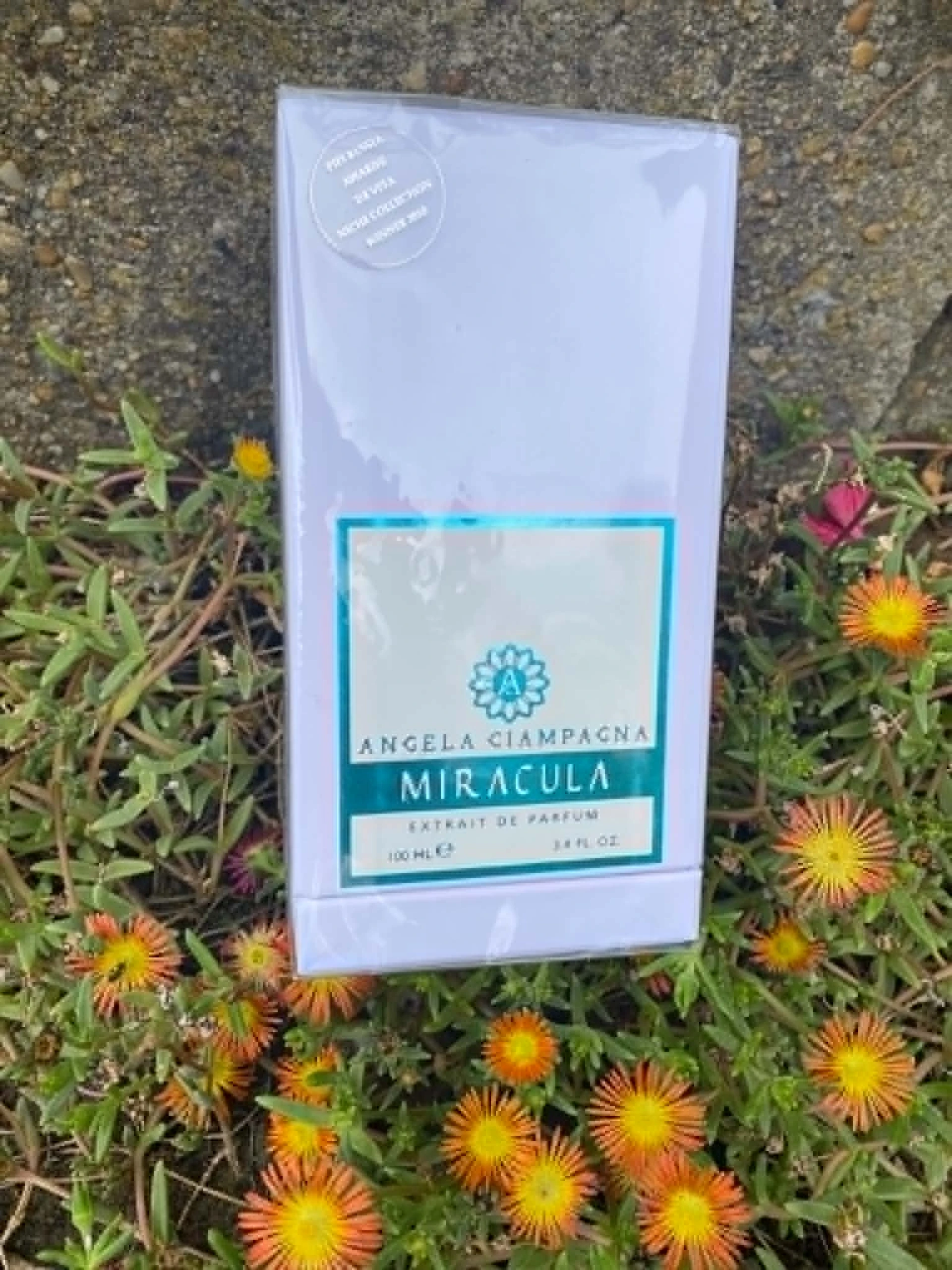 ANGELA CIAMPAGNA – Miracula