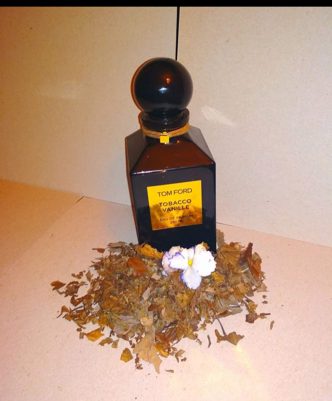 Dekant /fújós kiadó