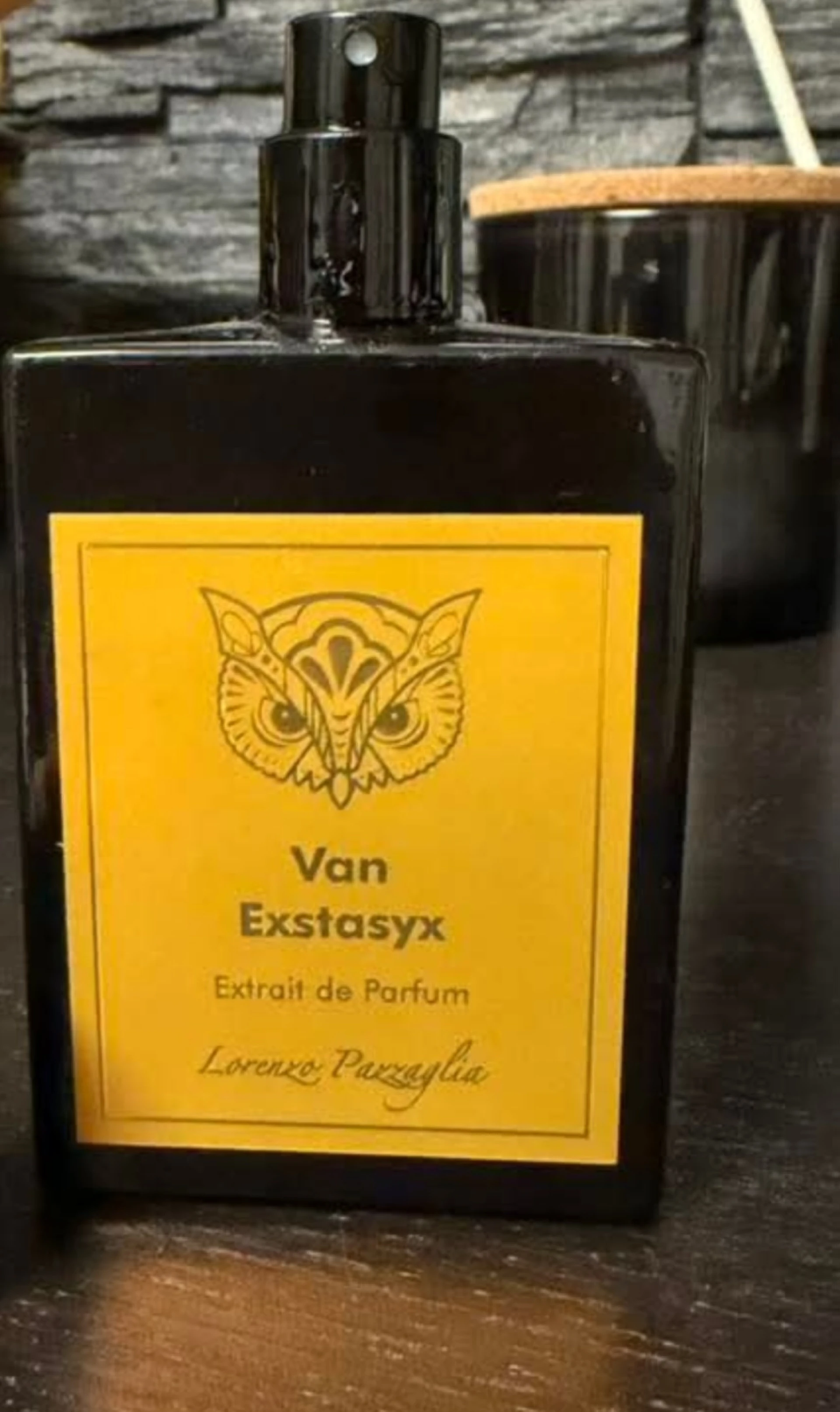 Lorenzo pazzaglia  Van Extasyx 🥰