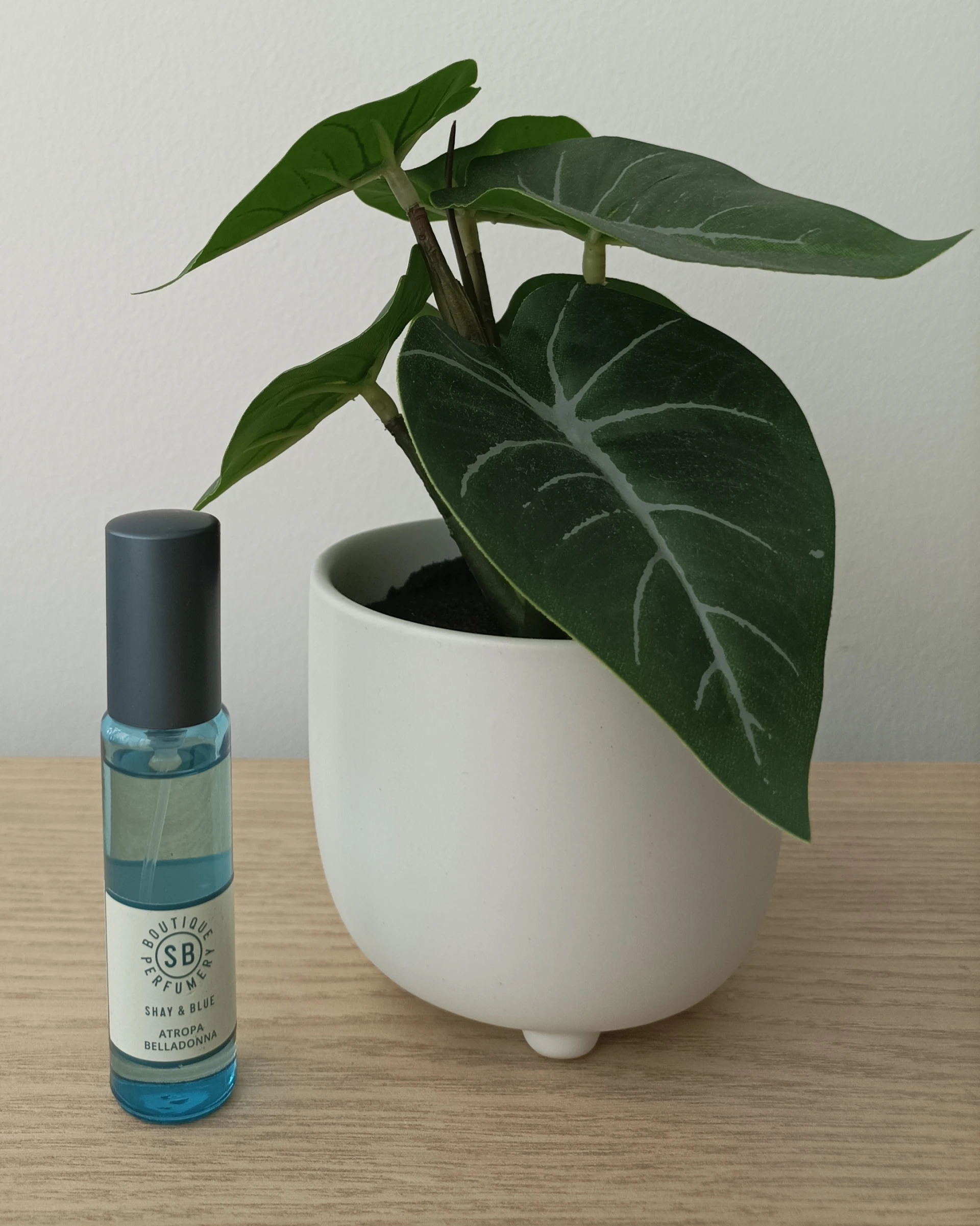 Shay & Blue Atropia Belladonna