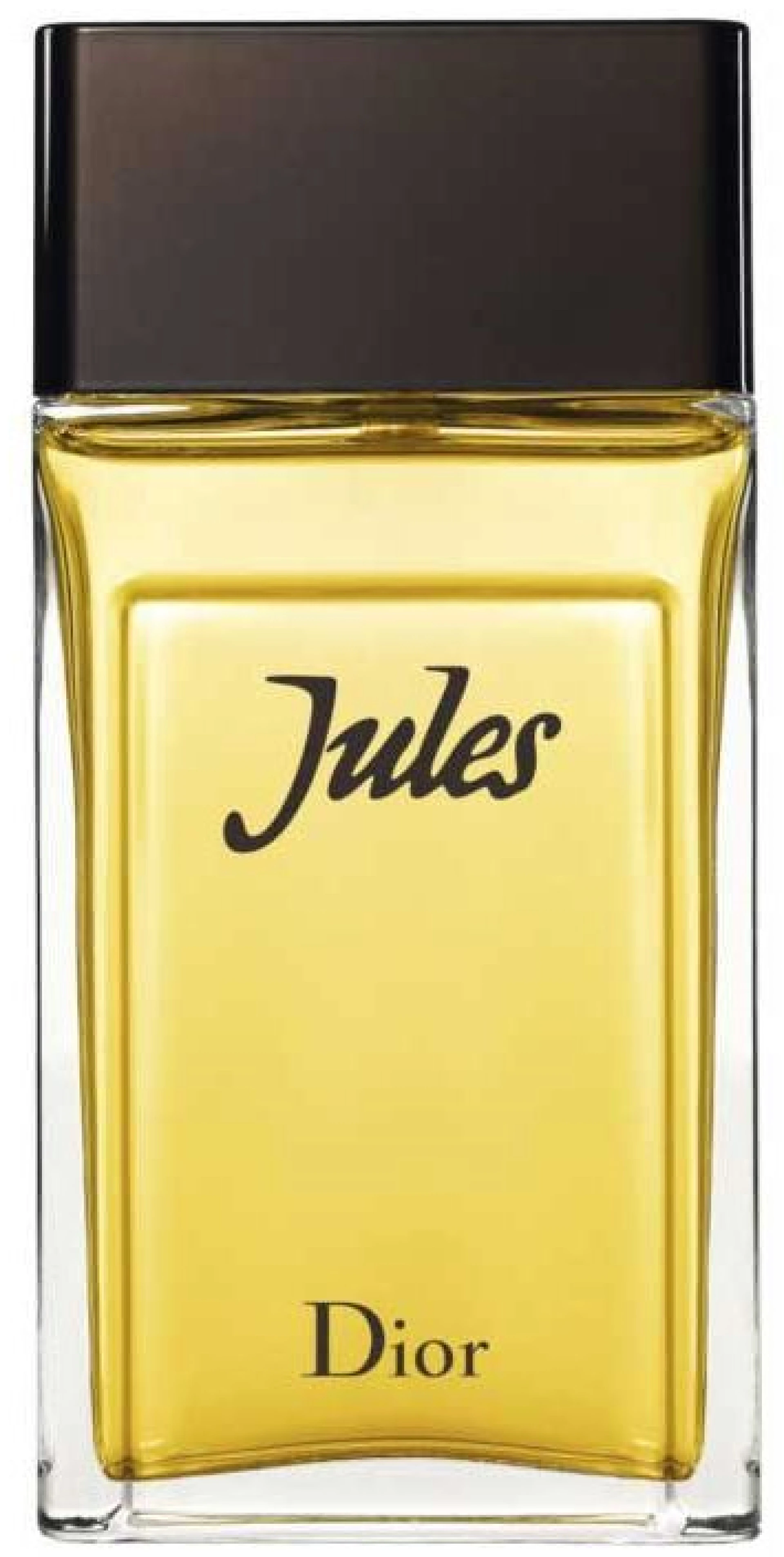 Dior Jules 2016