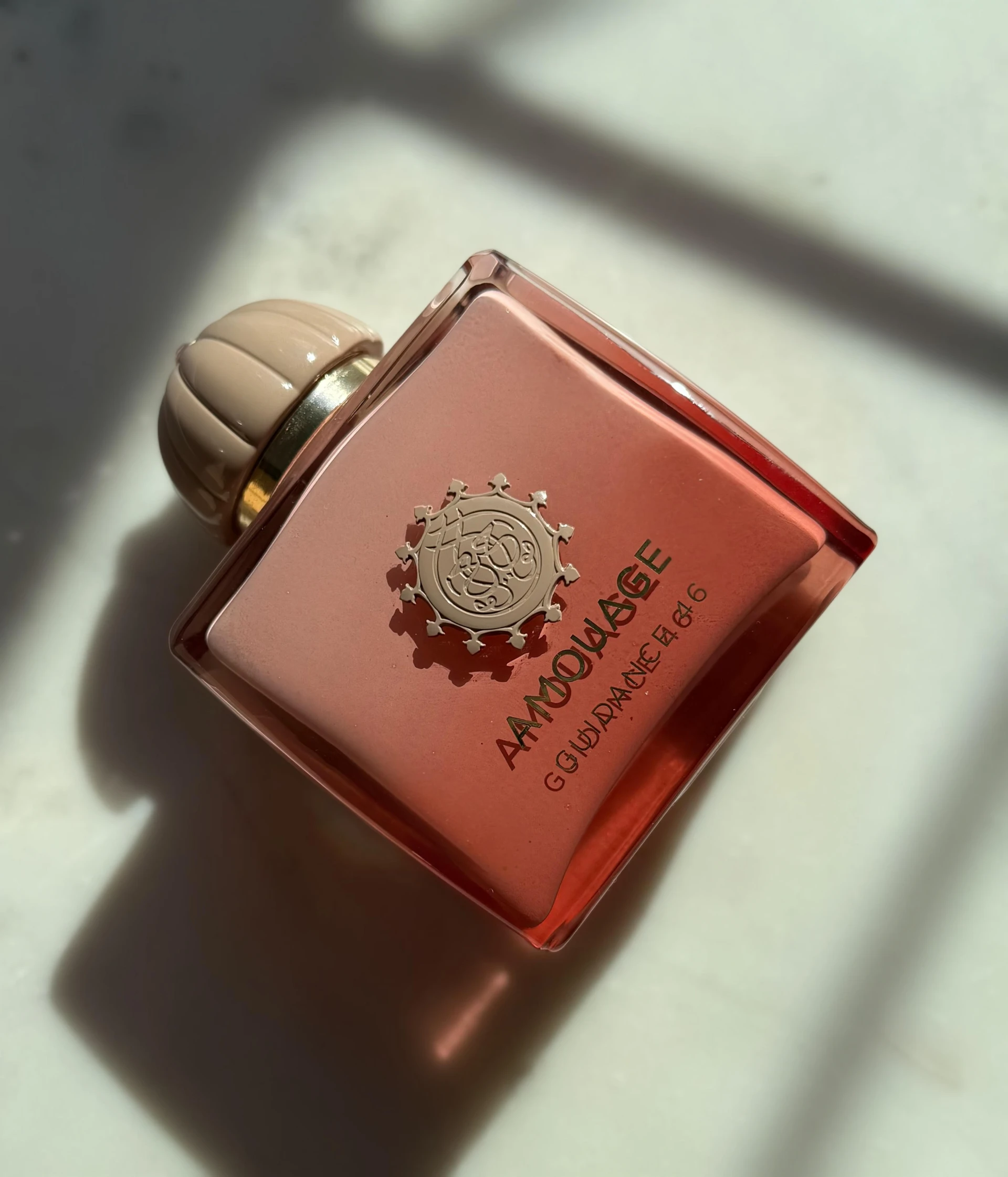 Amouage Guidance 46  Extrait