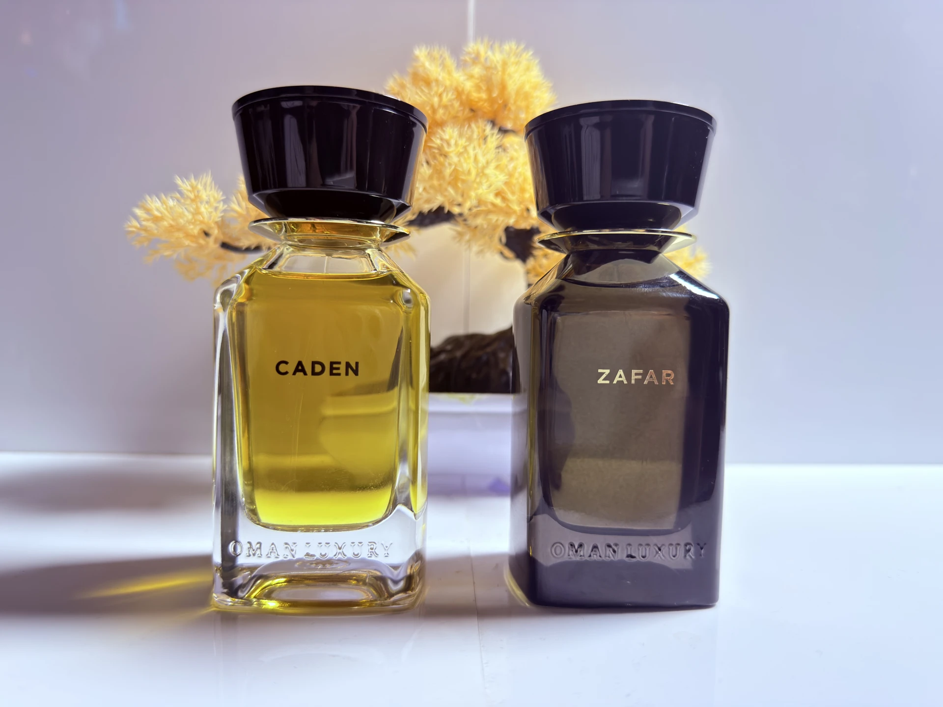 Omanluxury Caden