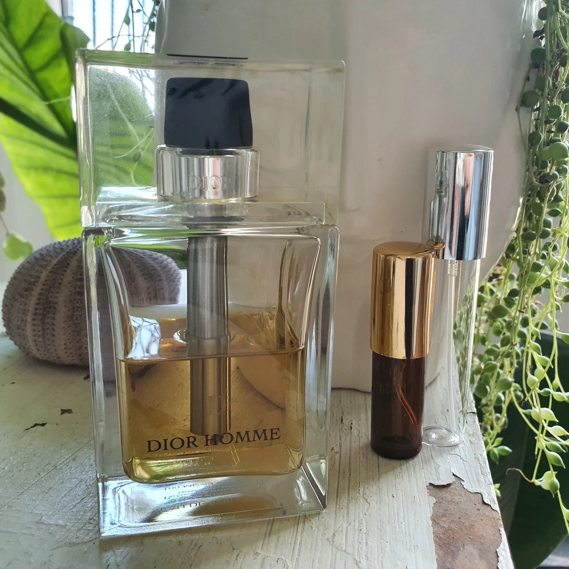 DEKANT Dior Homme for Men 2005