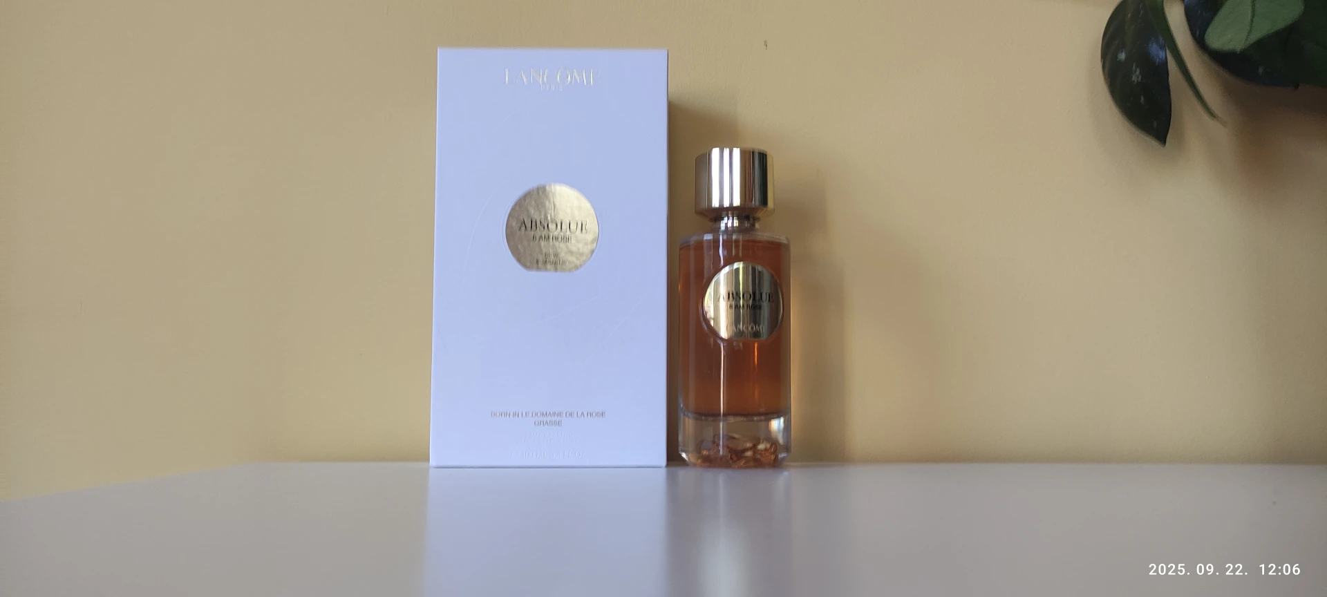 Lancome Absolue 6AM Rose EDP 100 ml