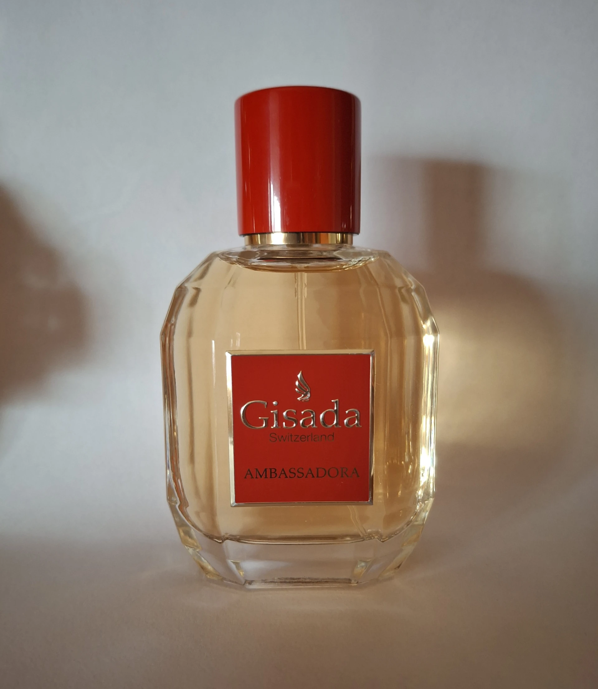 Ambassadora