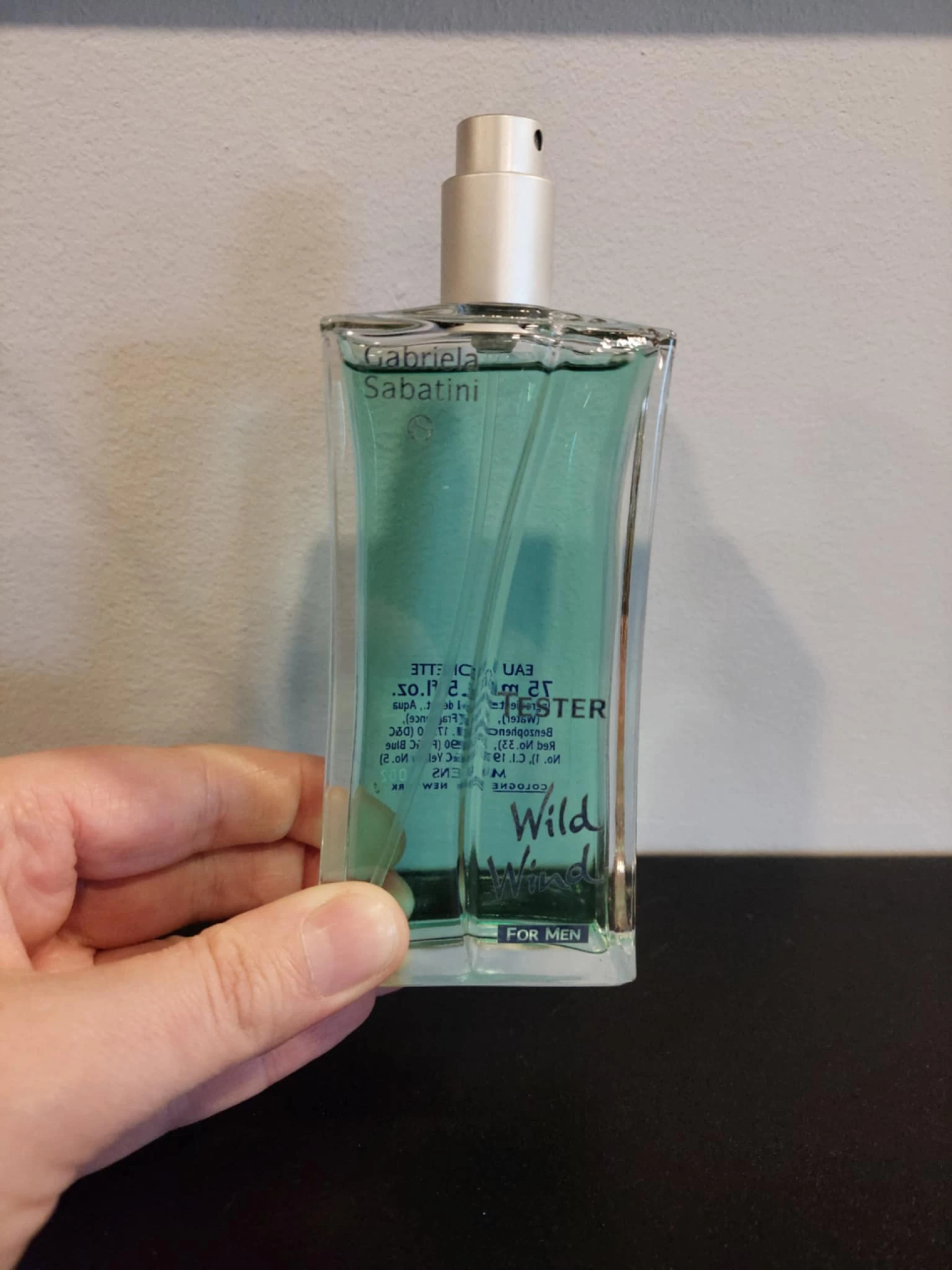 Gabriela Sabatini Wild Wind for Men