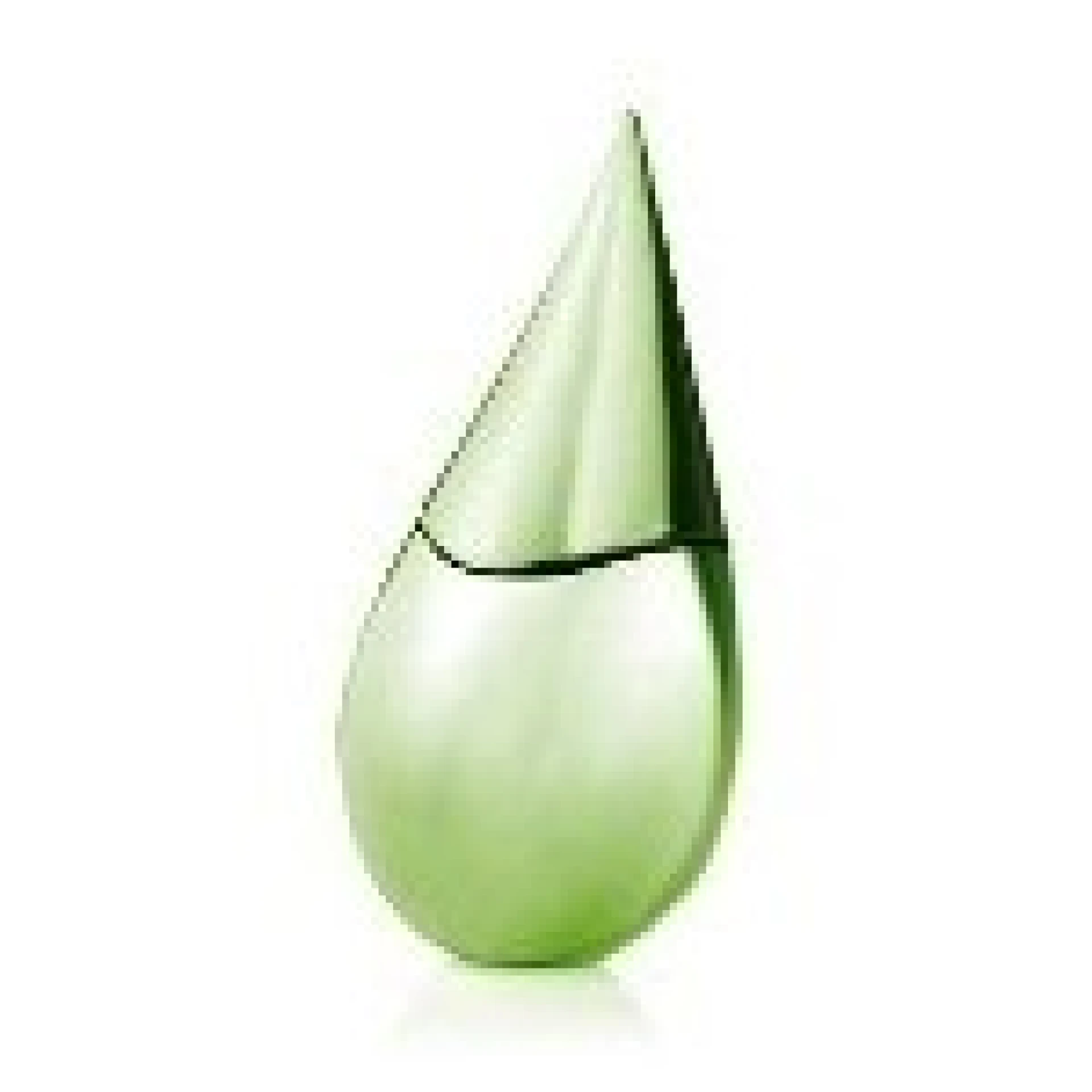 La Prairie Silver Rain Green