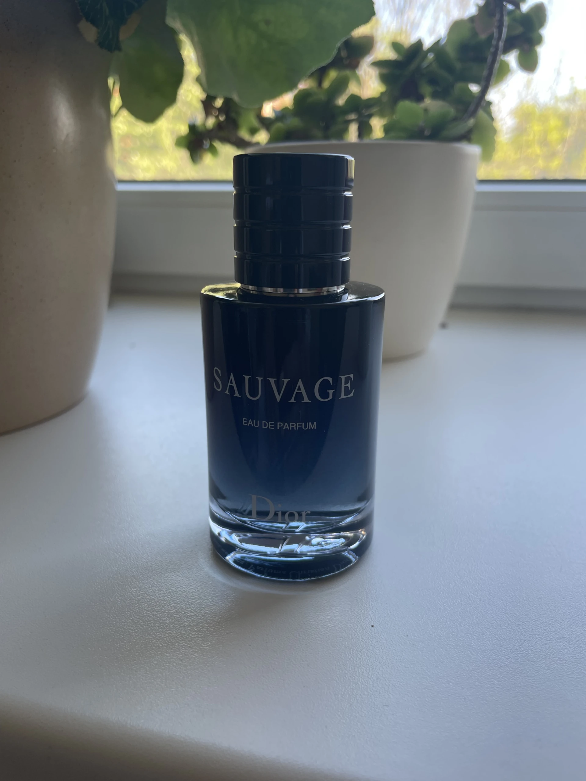 Dior ferfi parfüm