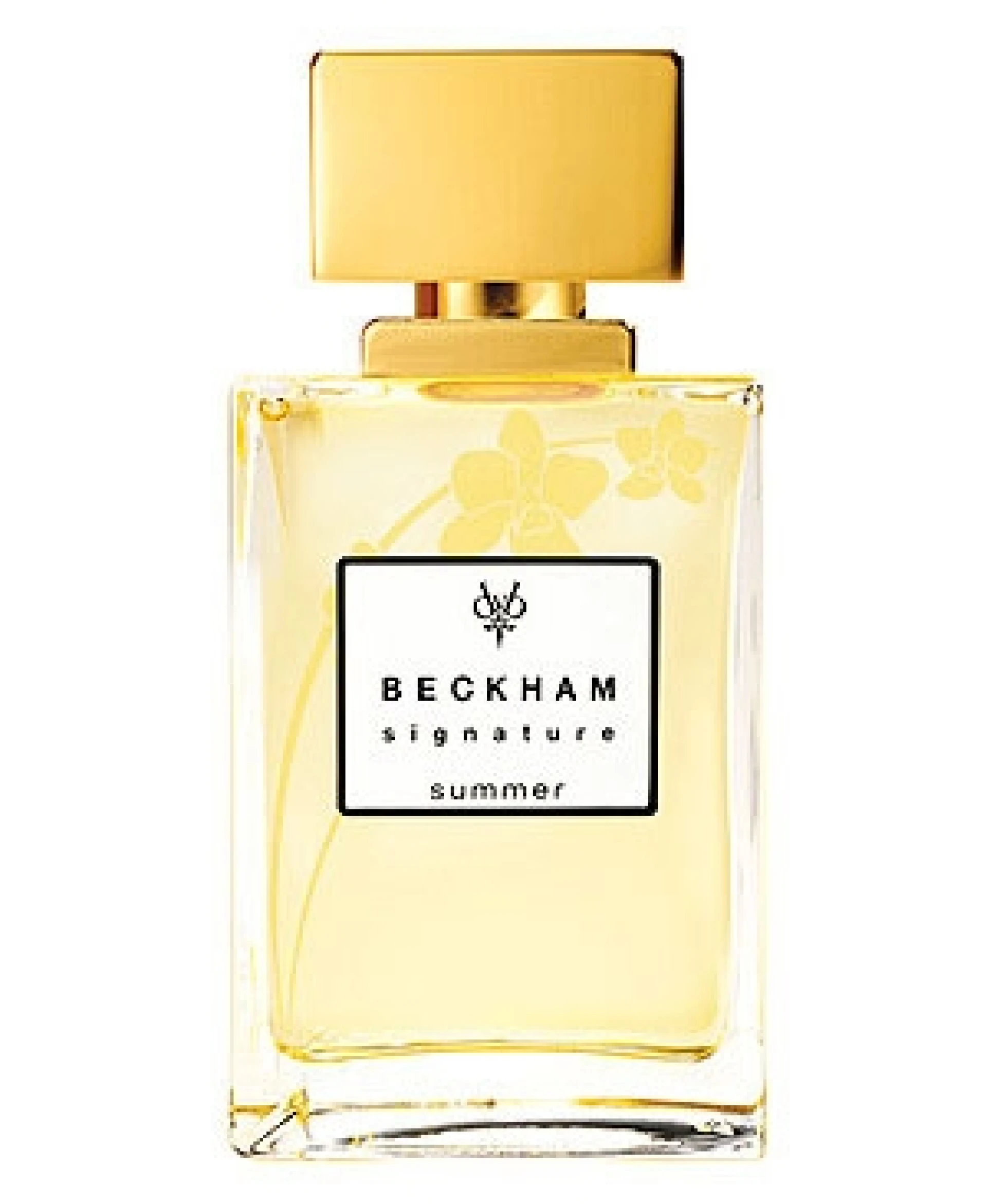 Beckham Signature Summer