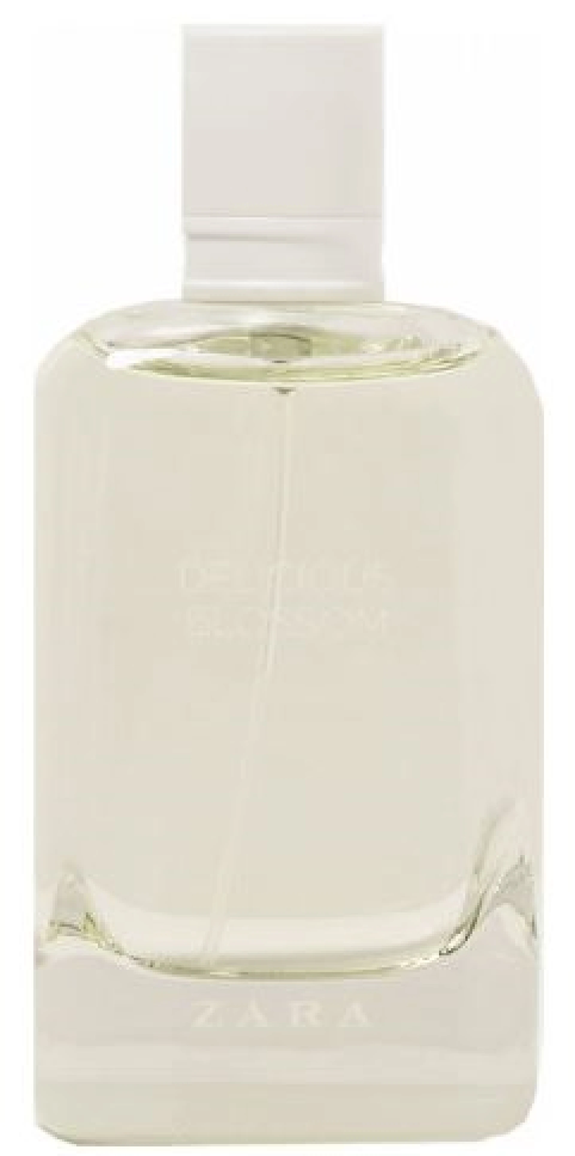 Zara Delicious Blossom