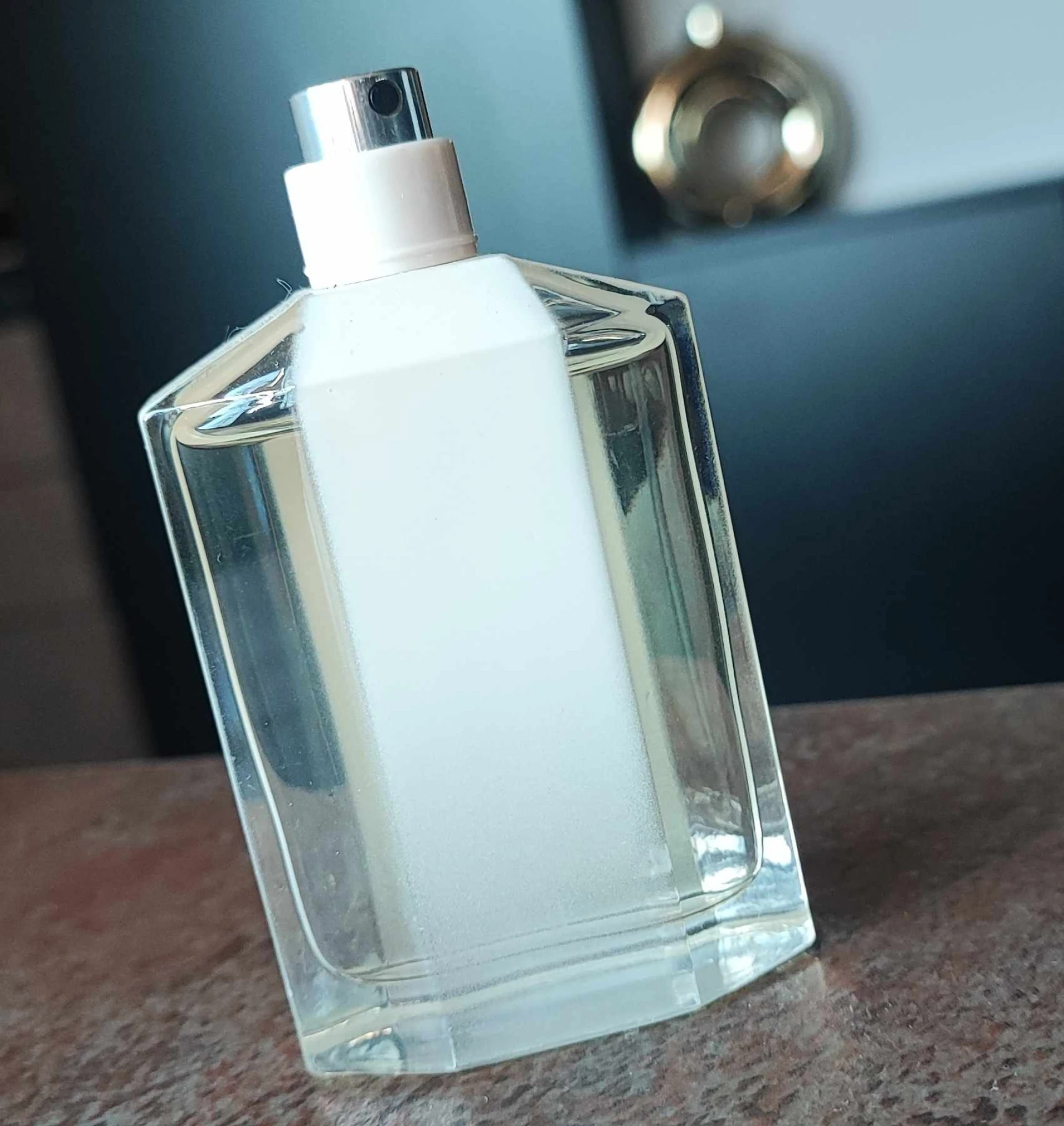 Stella McCartney Stella Nude