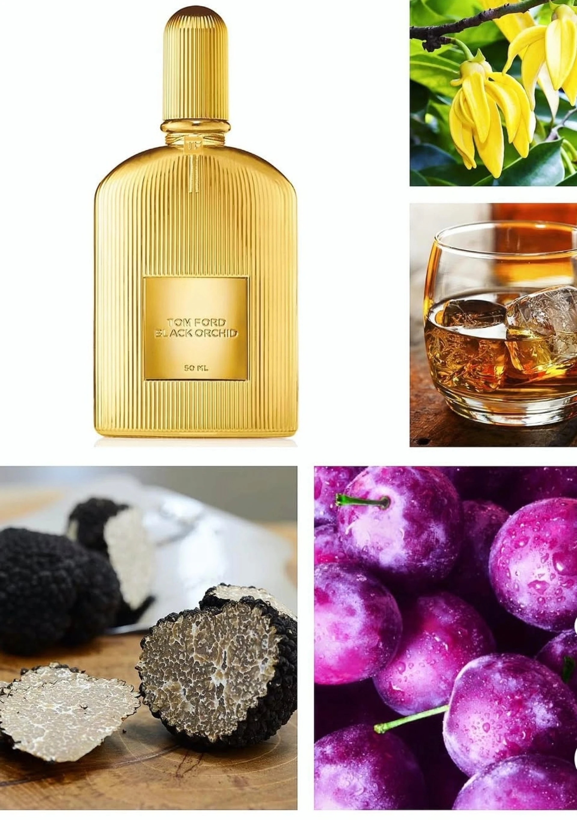 Tom Ford Black Orchid Parfum