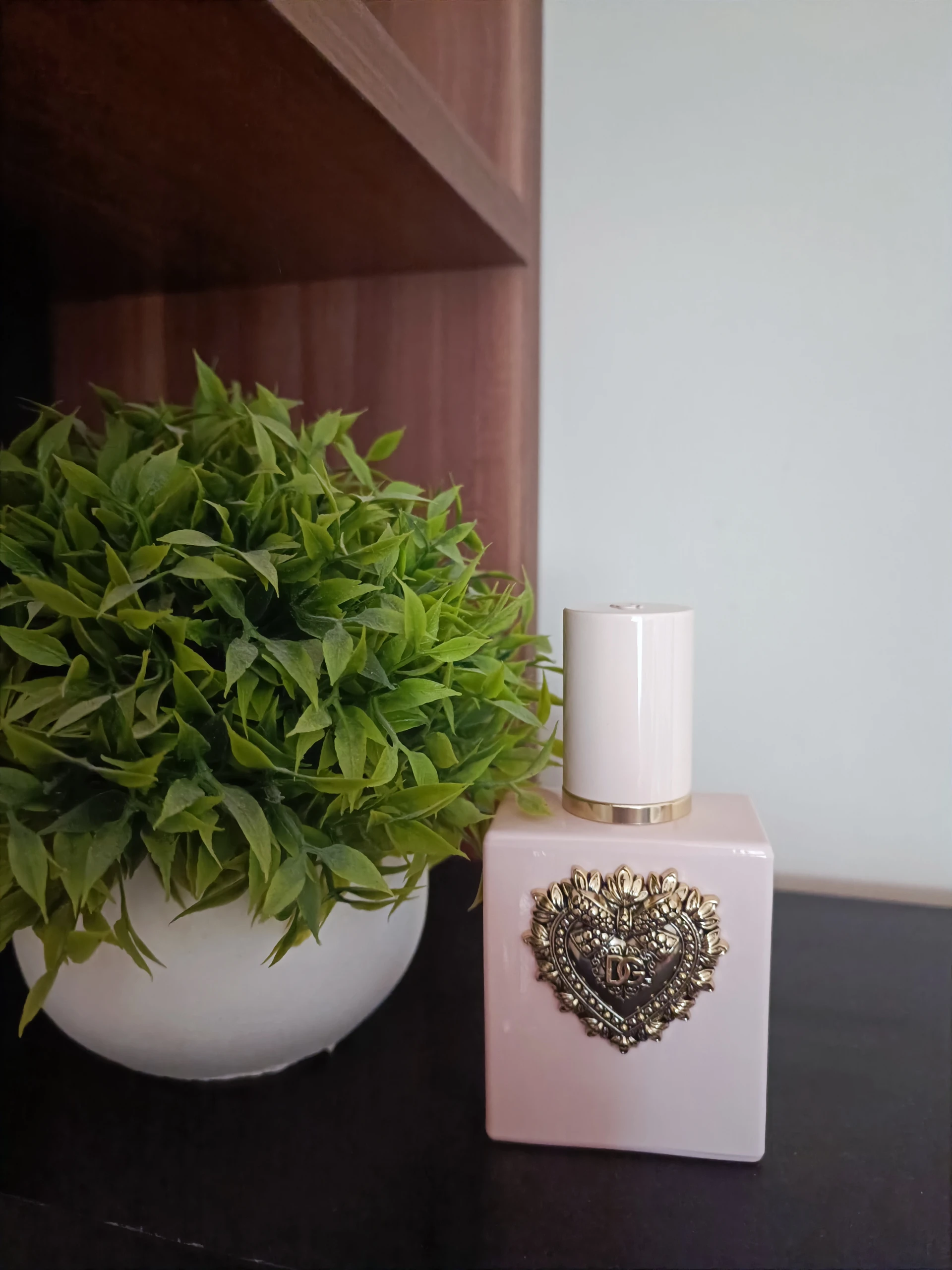 🧪 D&G - My Devotion