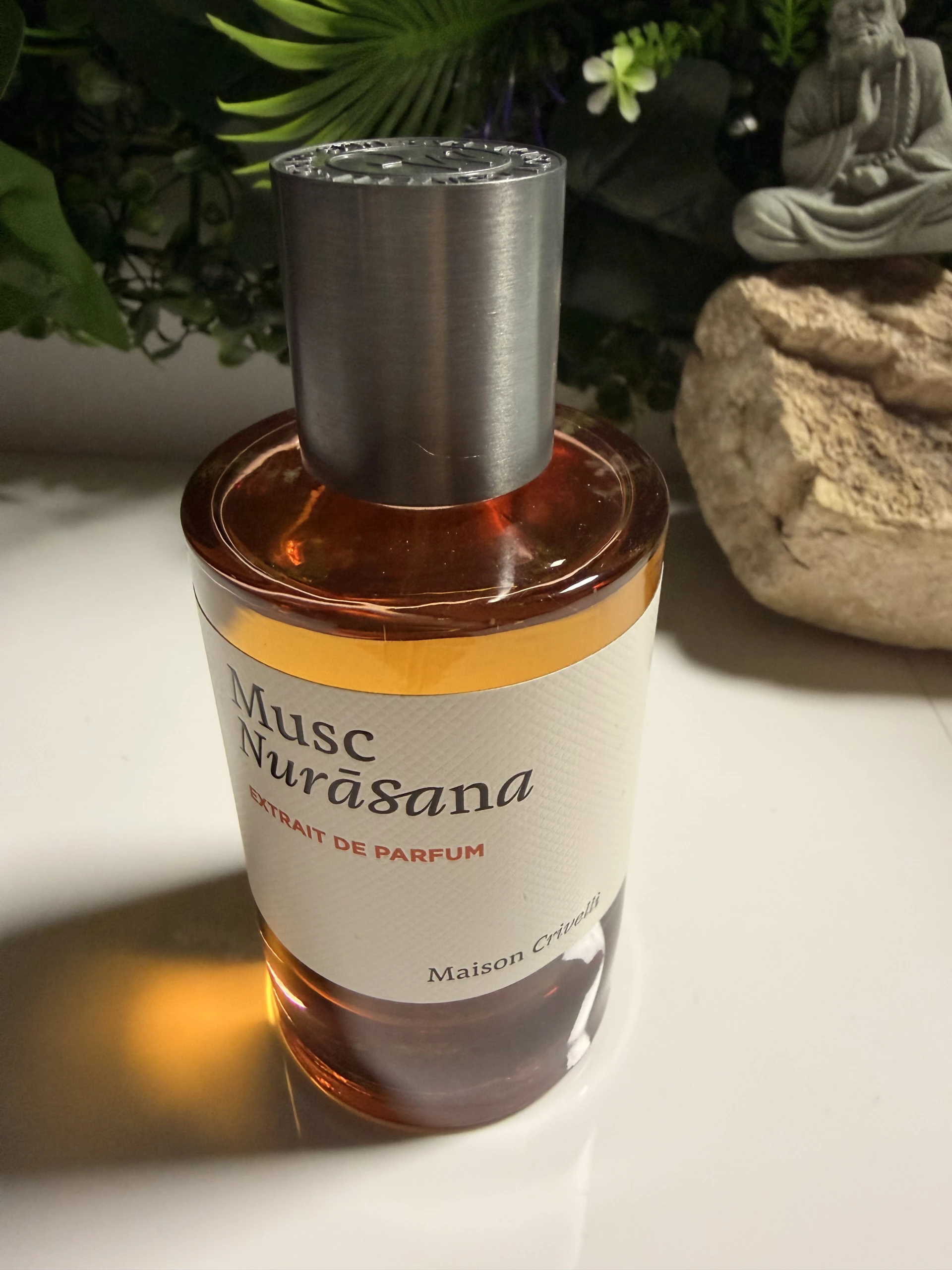 Maison Crivelli Hibiscus Mahajad