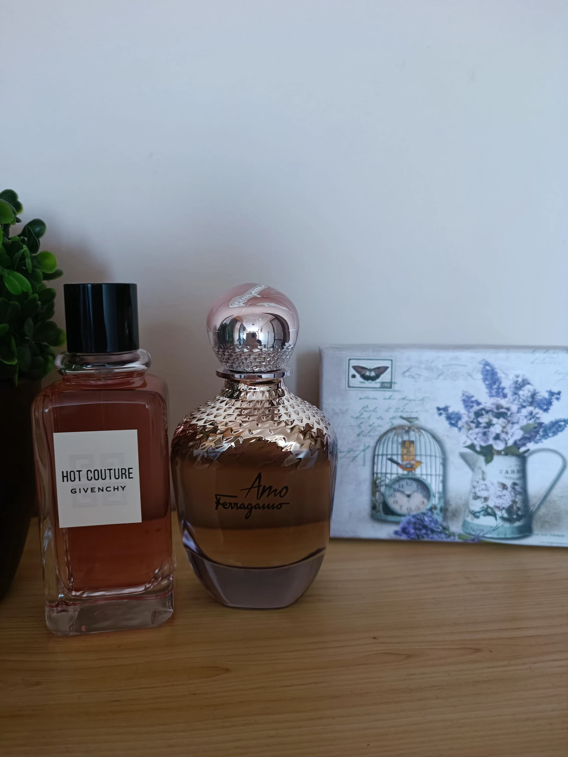 🧪 Salvatore Ferragamo - Amo