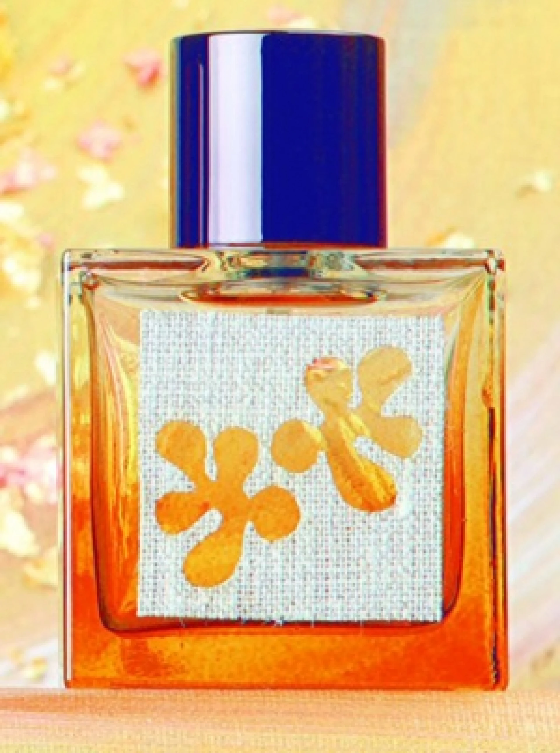 M. Micallef Vanille Marine