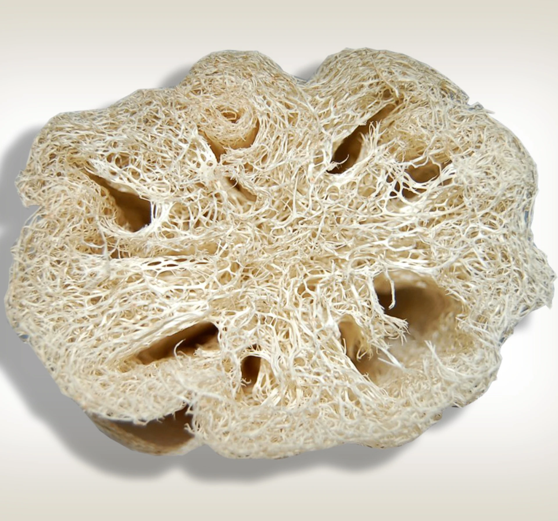 Manna Luffa Szivacs