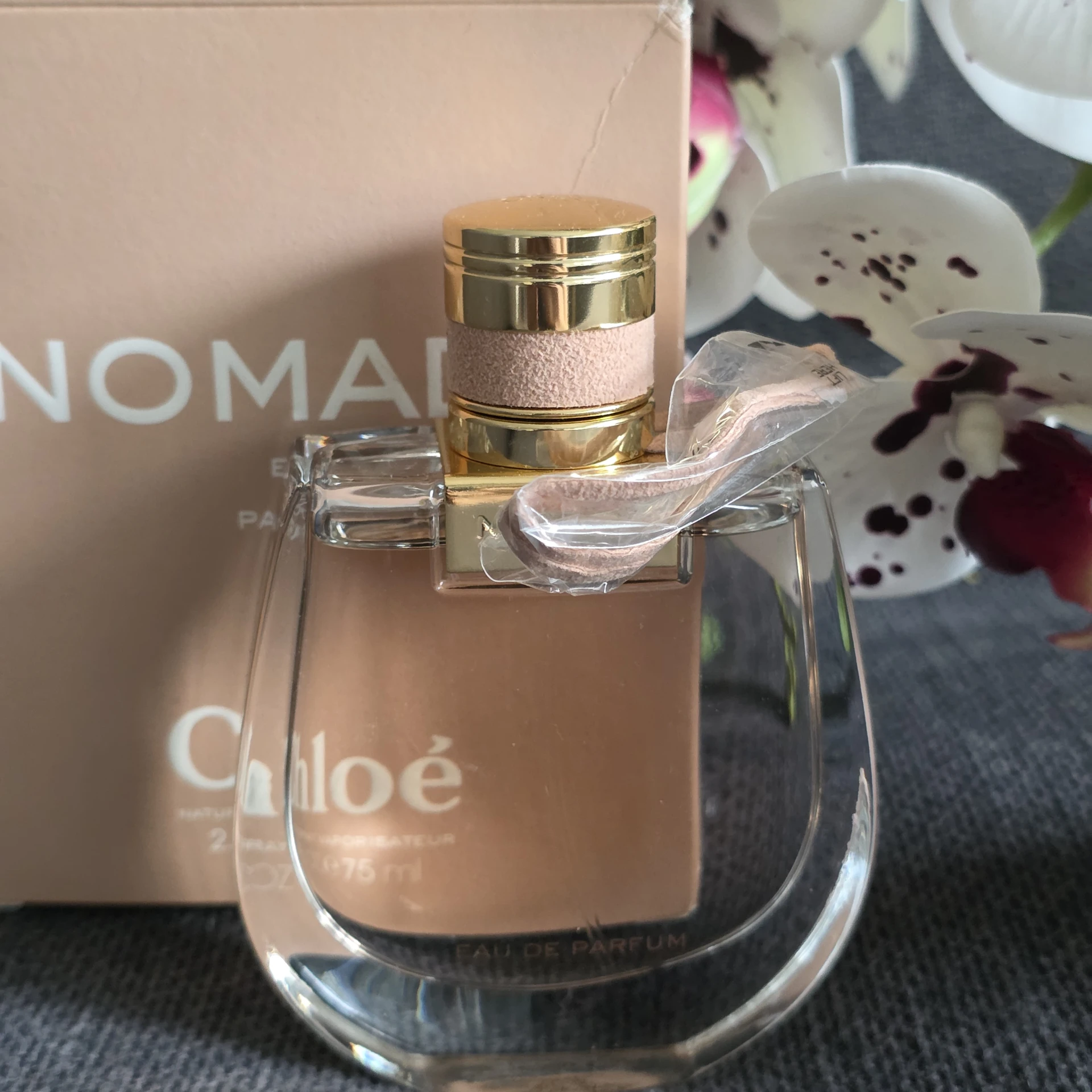 Chloé Nomade