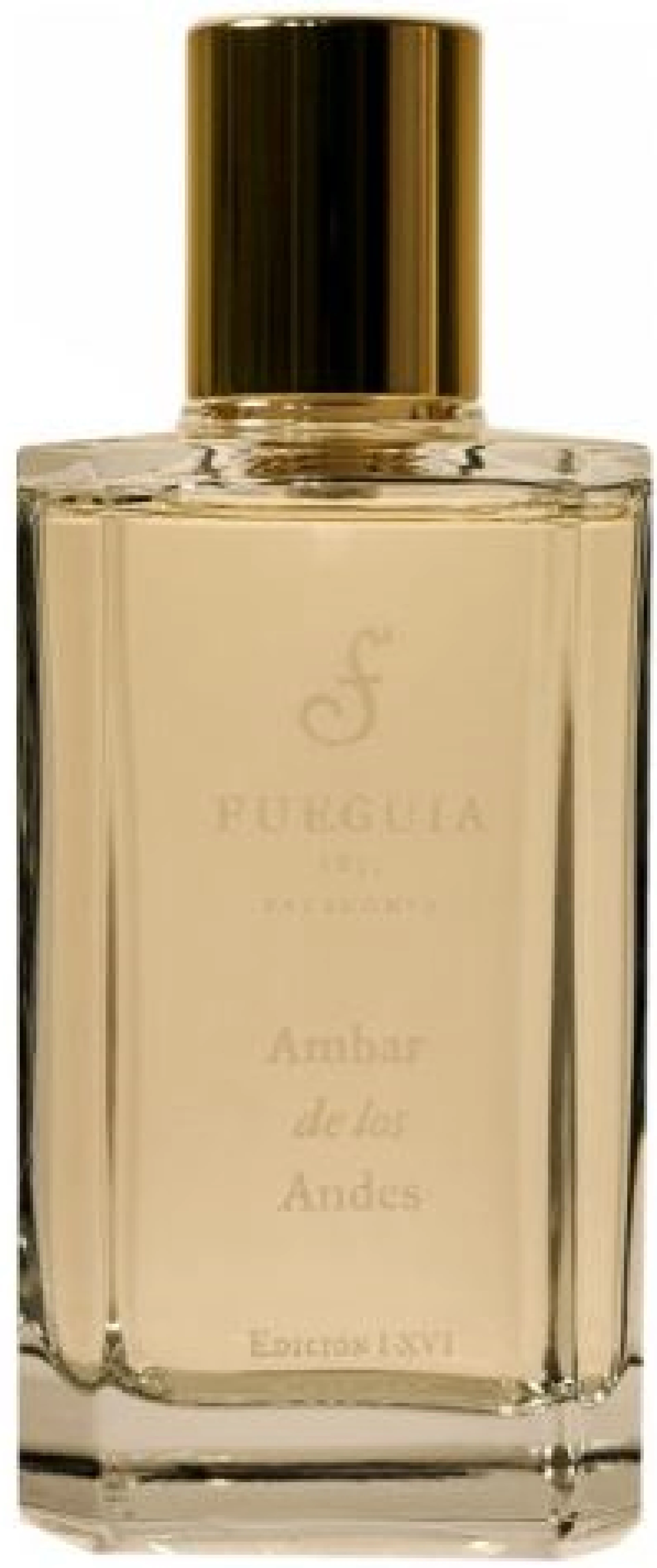 Fueguia 1833 Ambar De Los Andes
