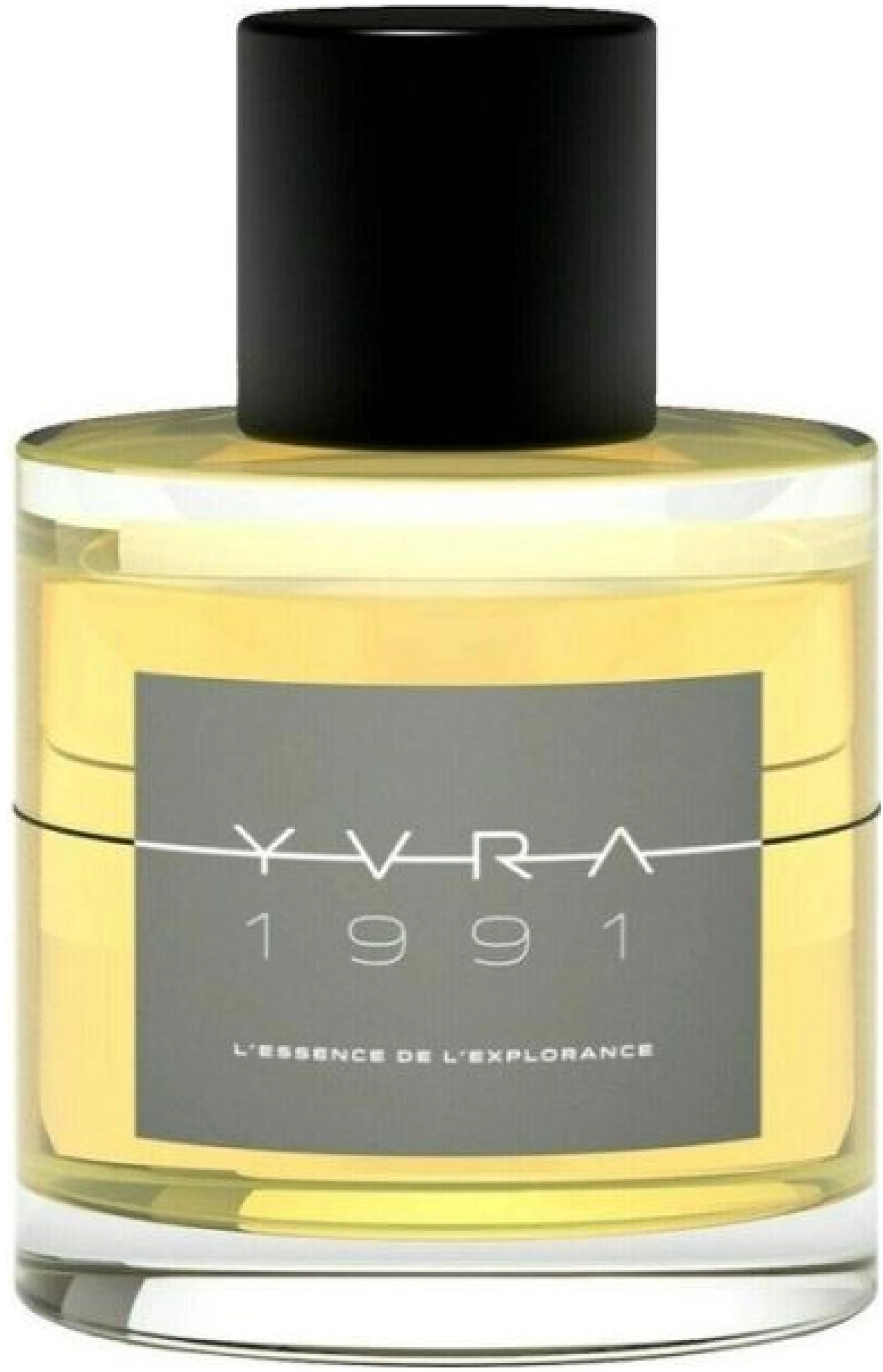 Yvra 1991 L'essence de L'explorance EDP